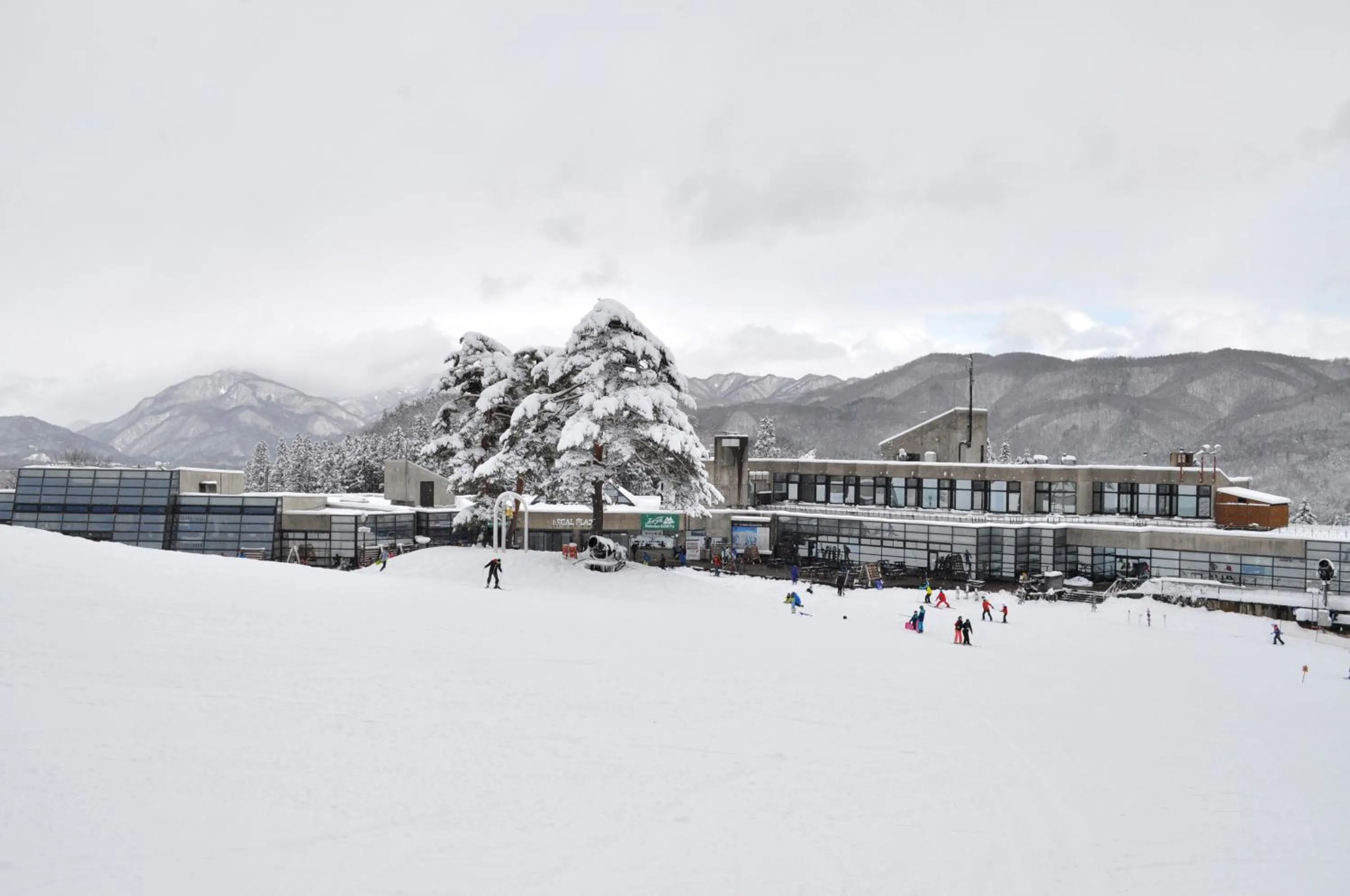 Skiing in Pension Risuno Koya