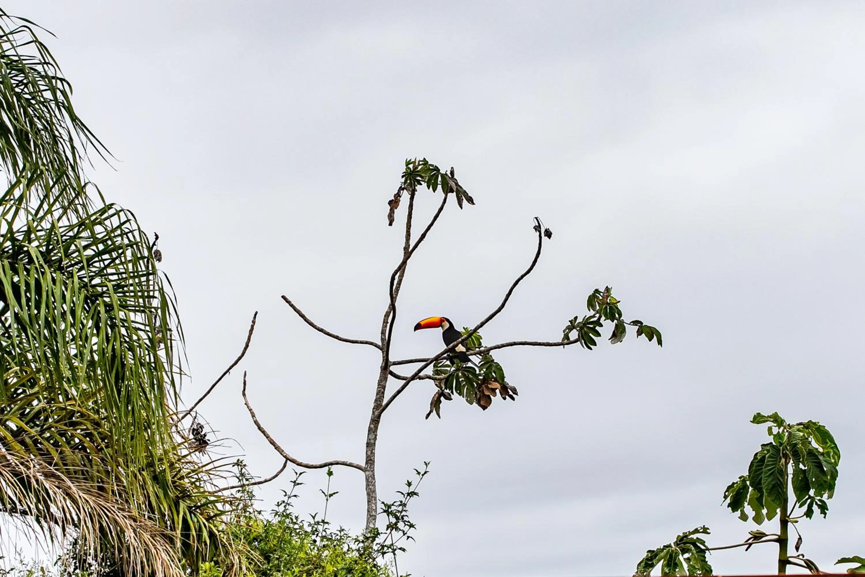 Chalés Belo Vale - Tiradentes