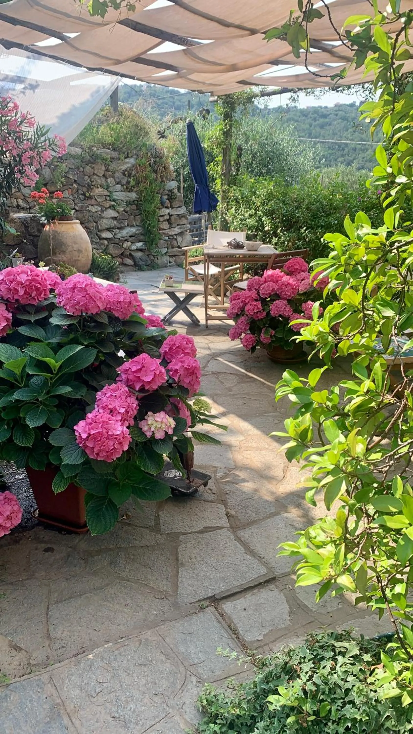 Balcony/Terrace in B&B Cà de Badin