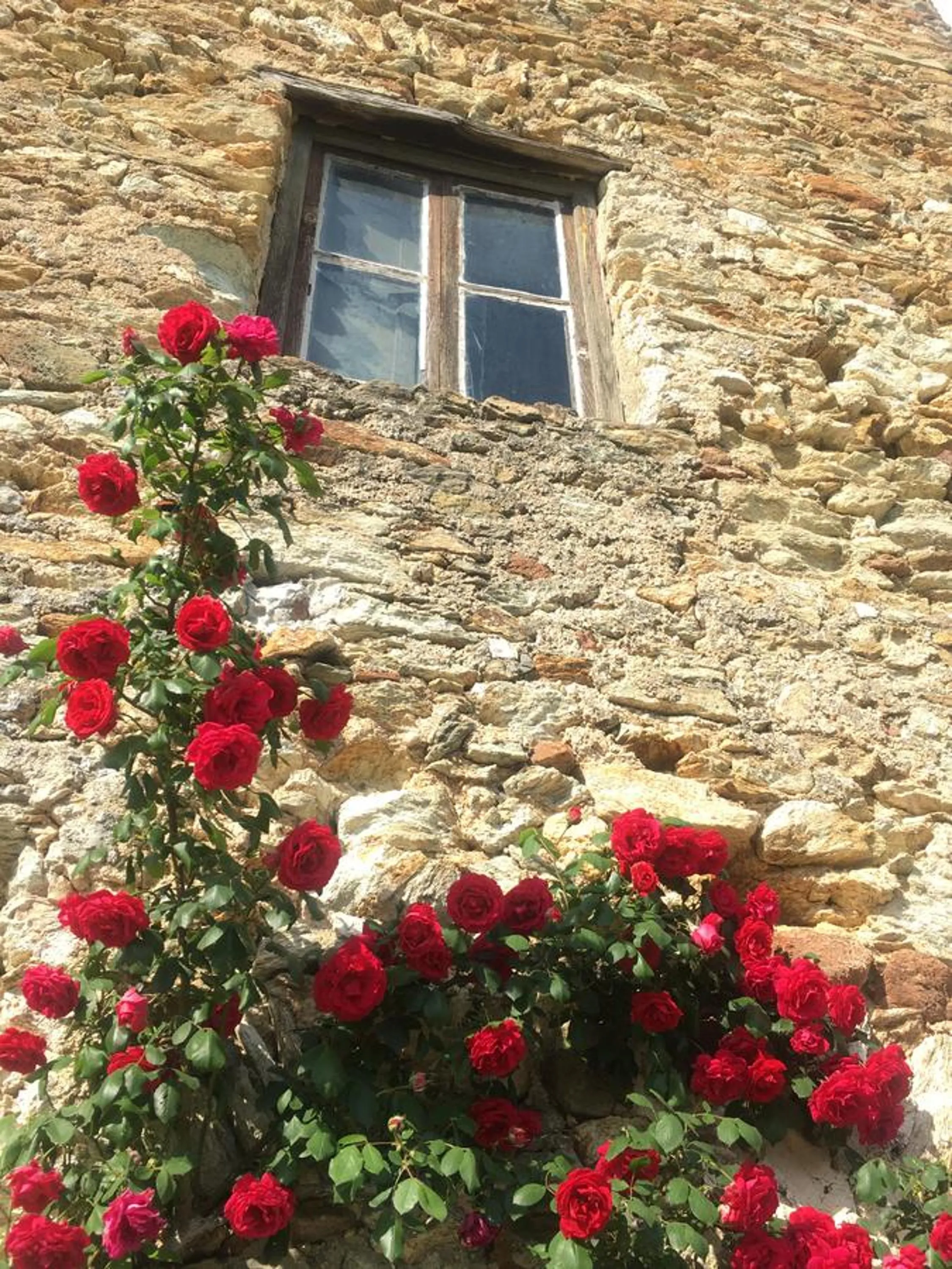 Nearby landmark in B&B Cà de Badin