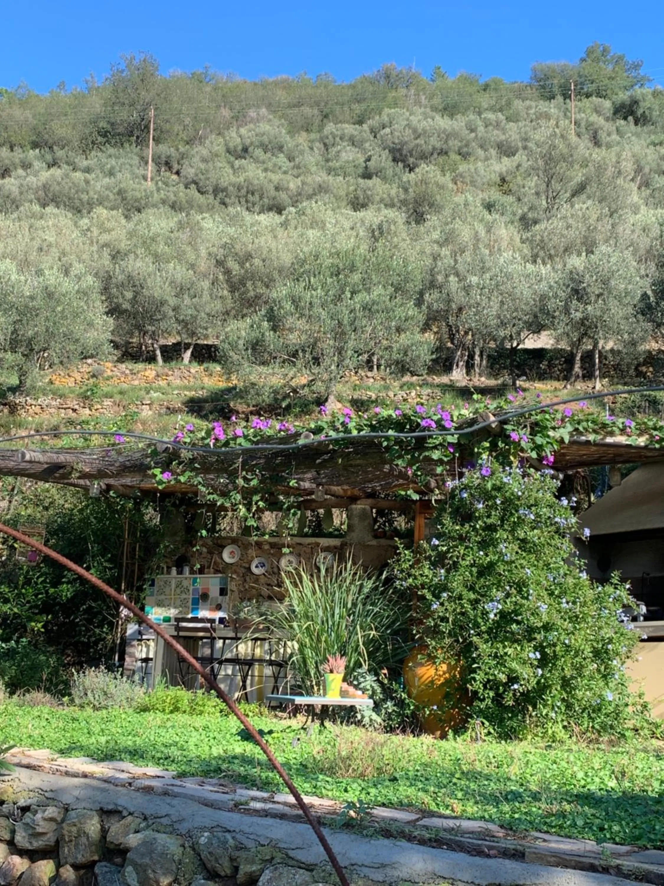 Garden in B&B Cà de Badin