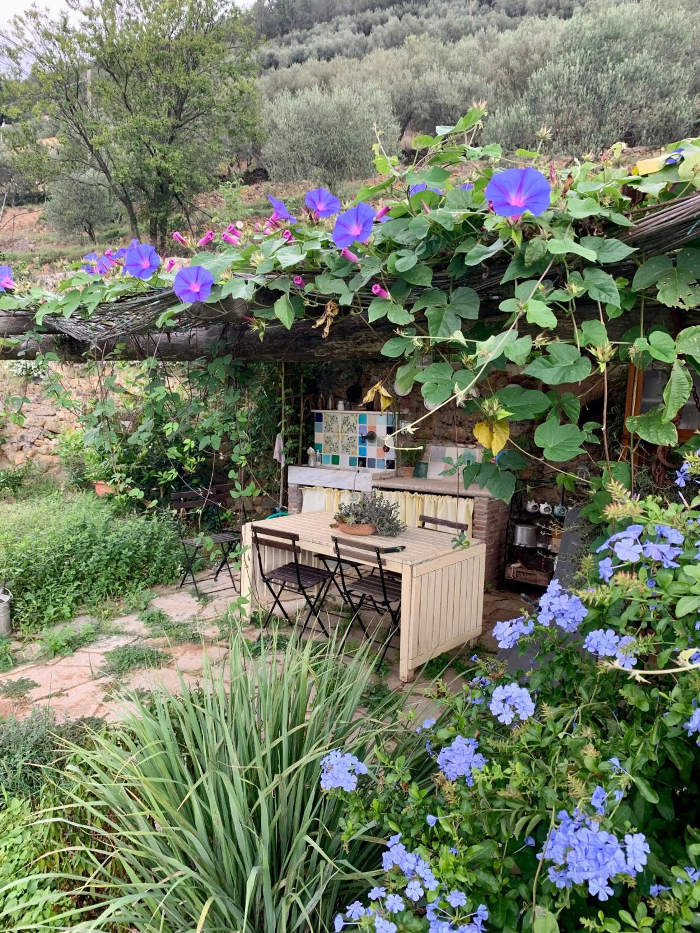 Garden in B&B Cà de Badin