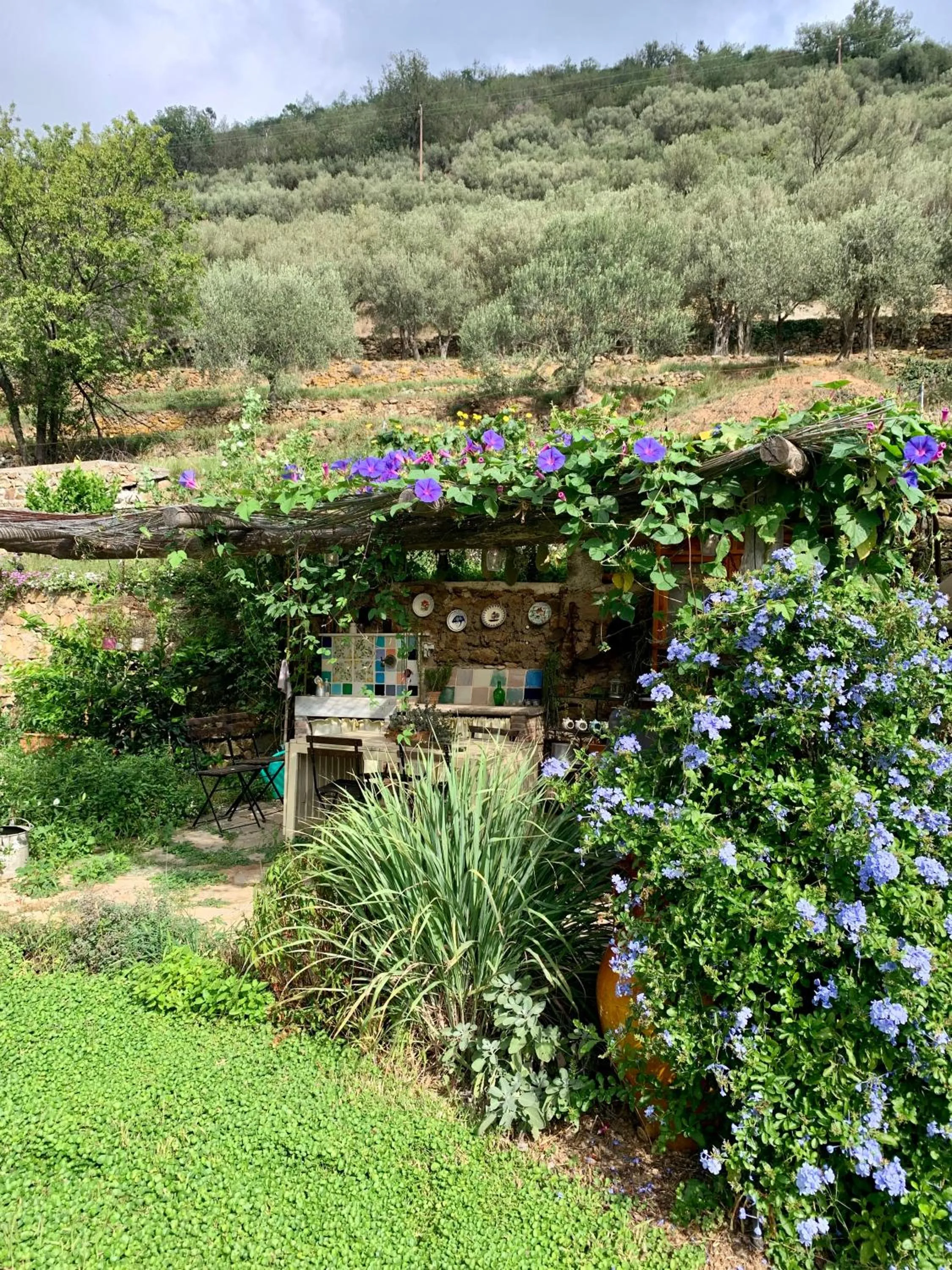 Garden in B&B Cà de Badin