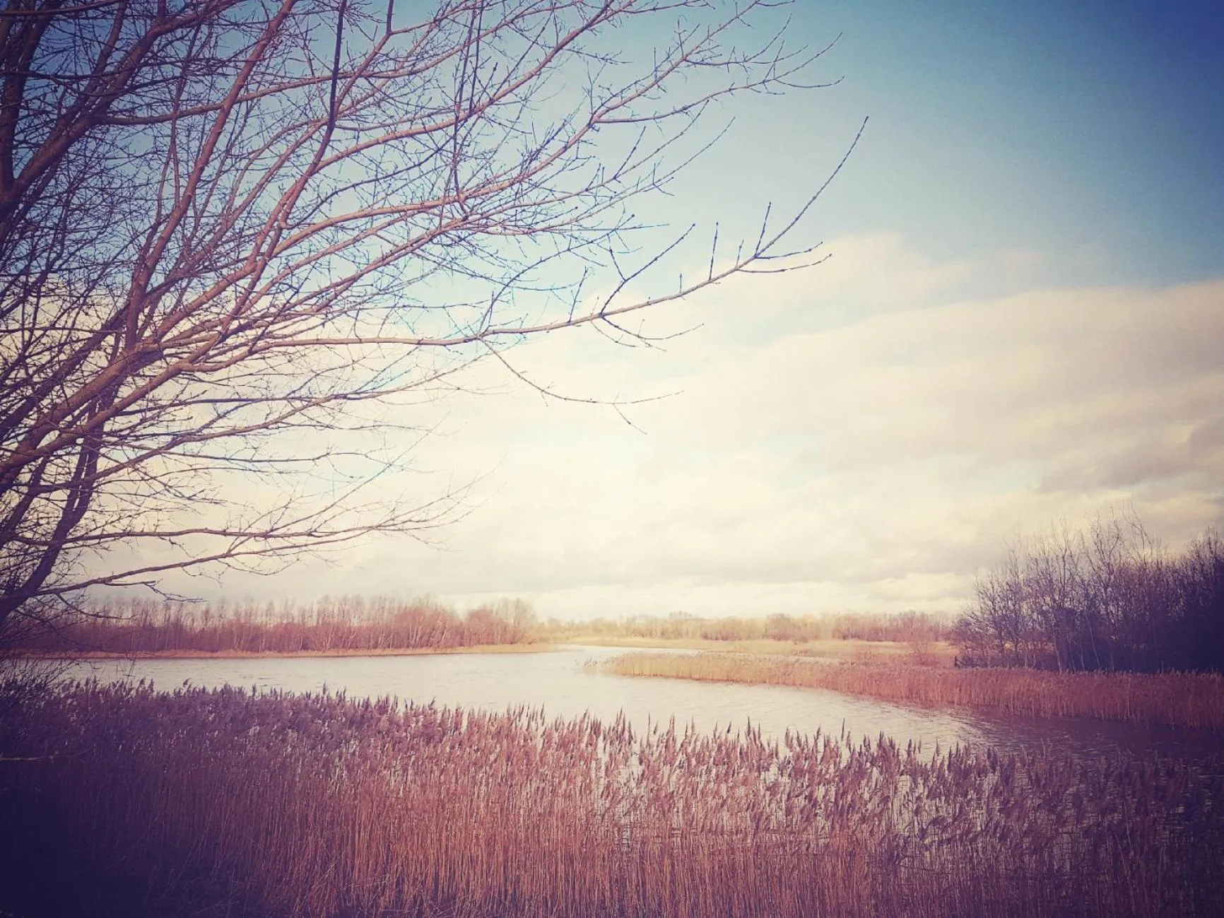 Other in Thorn House B&B