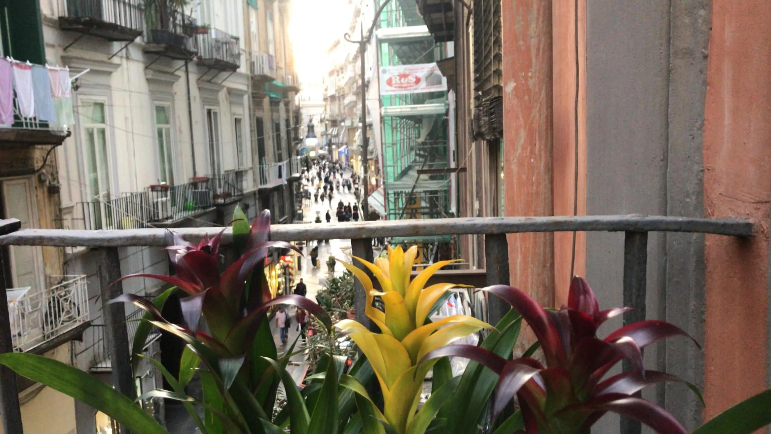 View (from property/room) in Base Napoli Plebiscito