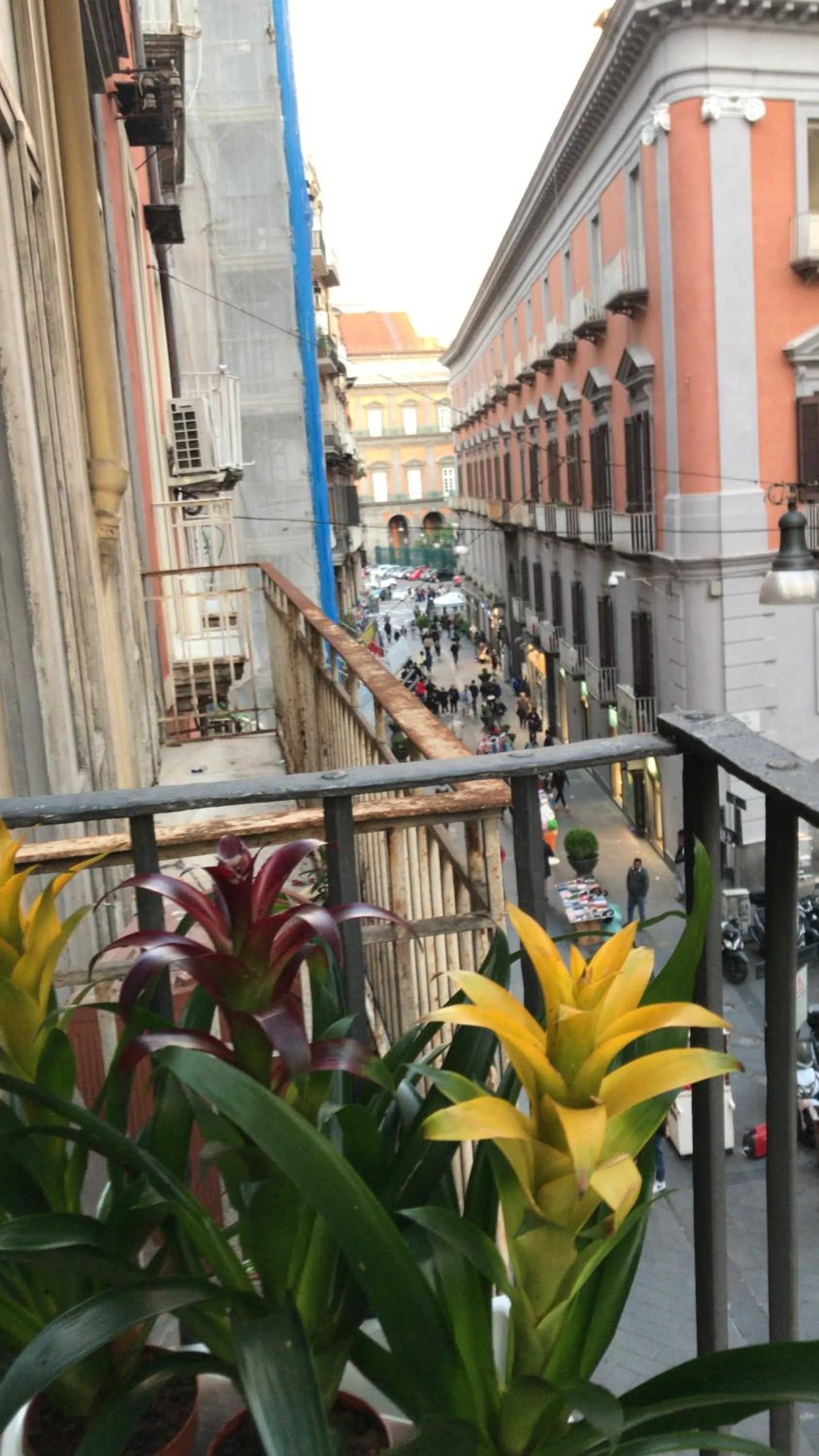 View (from property/room) in Base Napoli Plebiscito