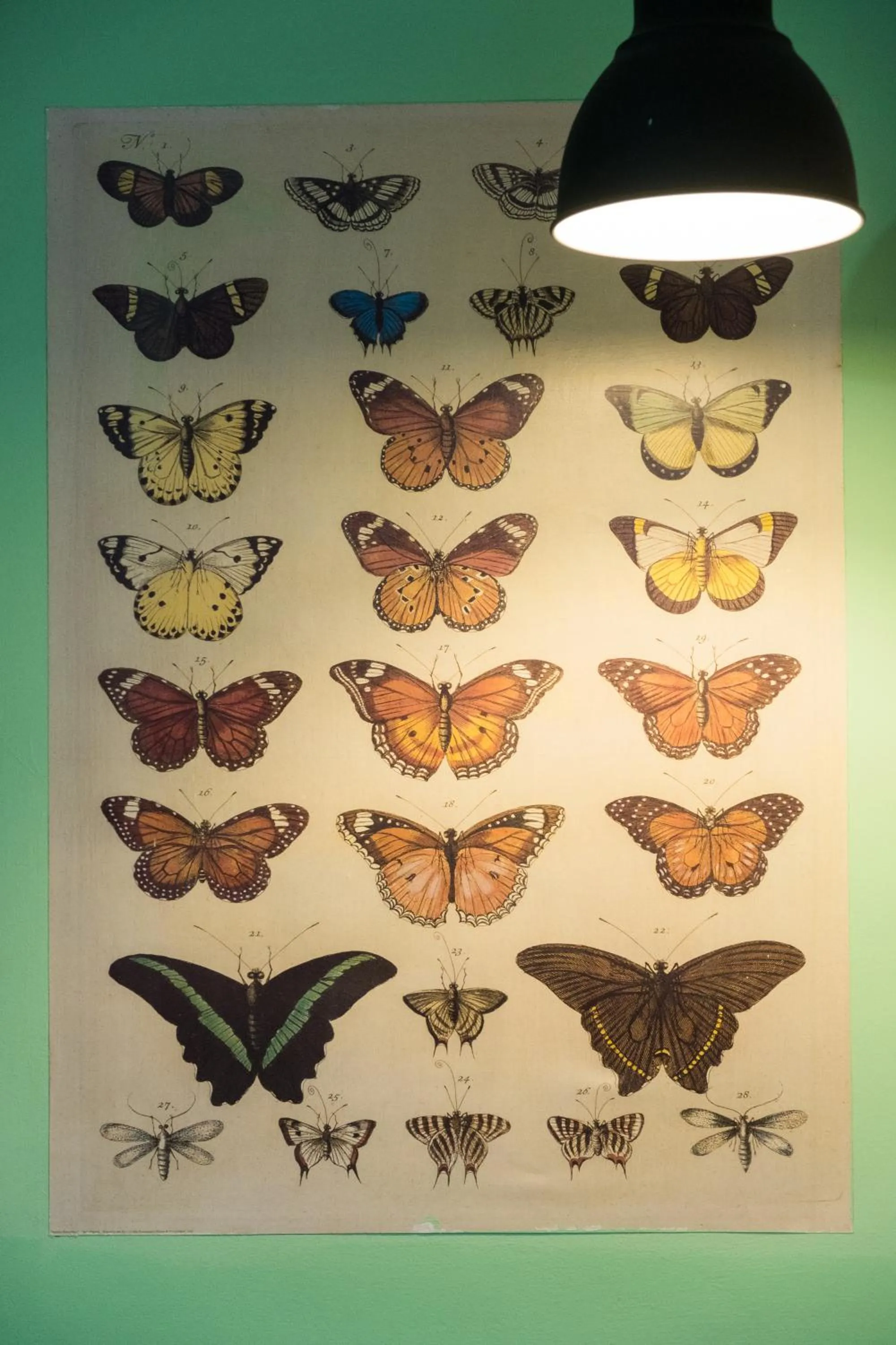 Decorative detail in Signor Suite Colosseo