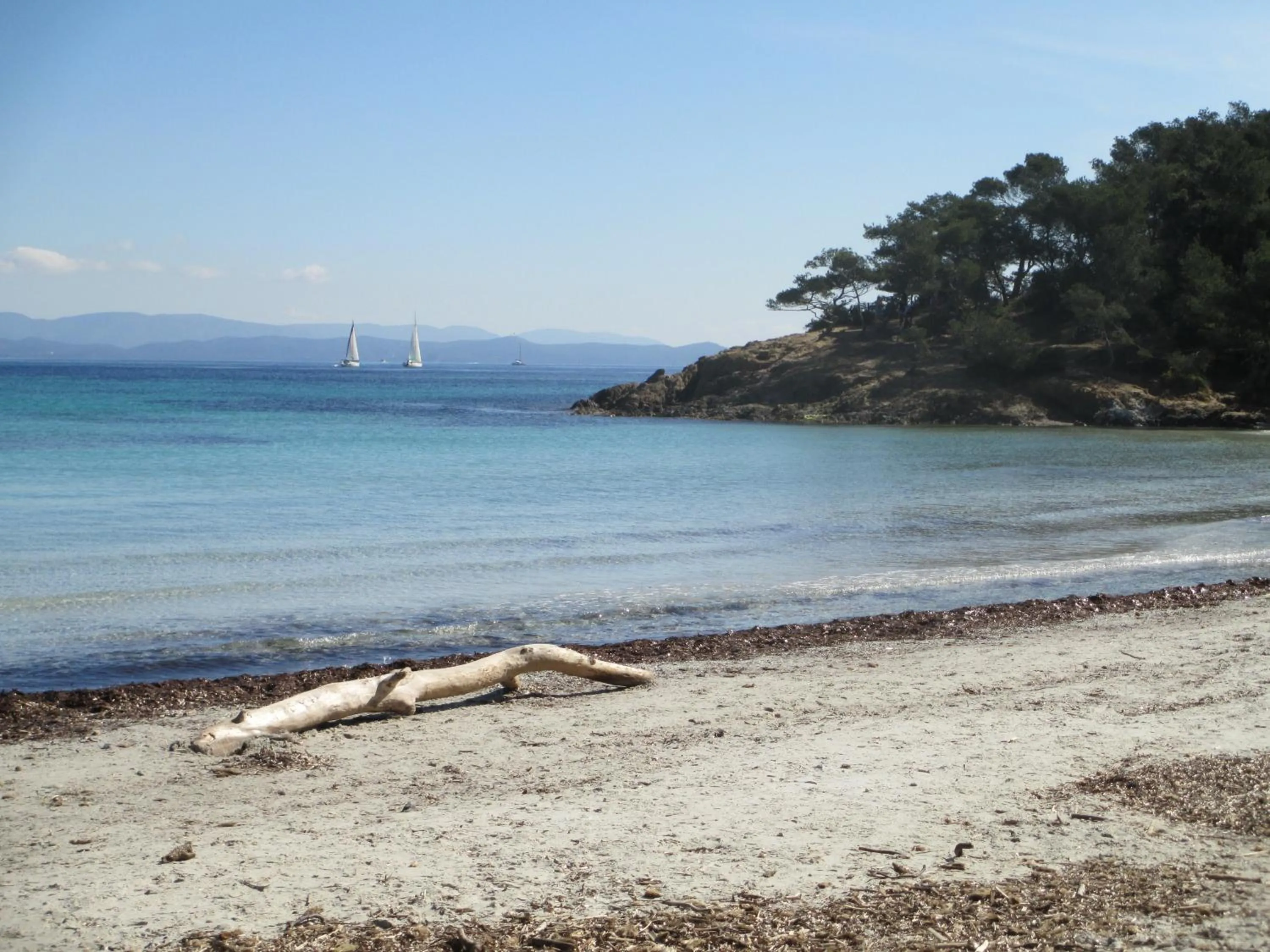 Area and facilities in Ibis Styles Hyères Rooftop & Spa