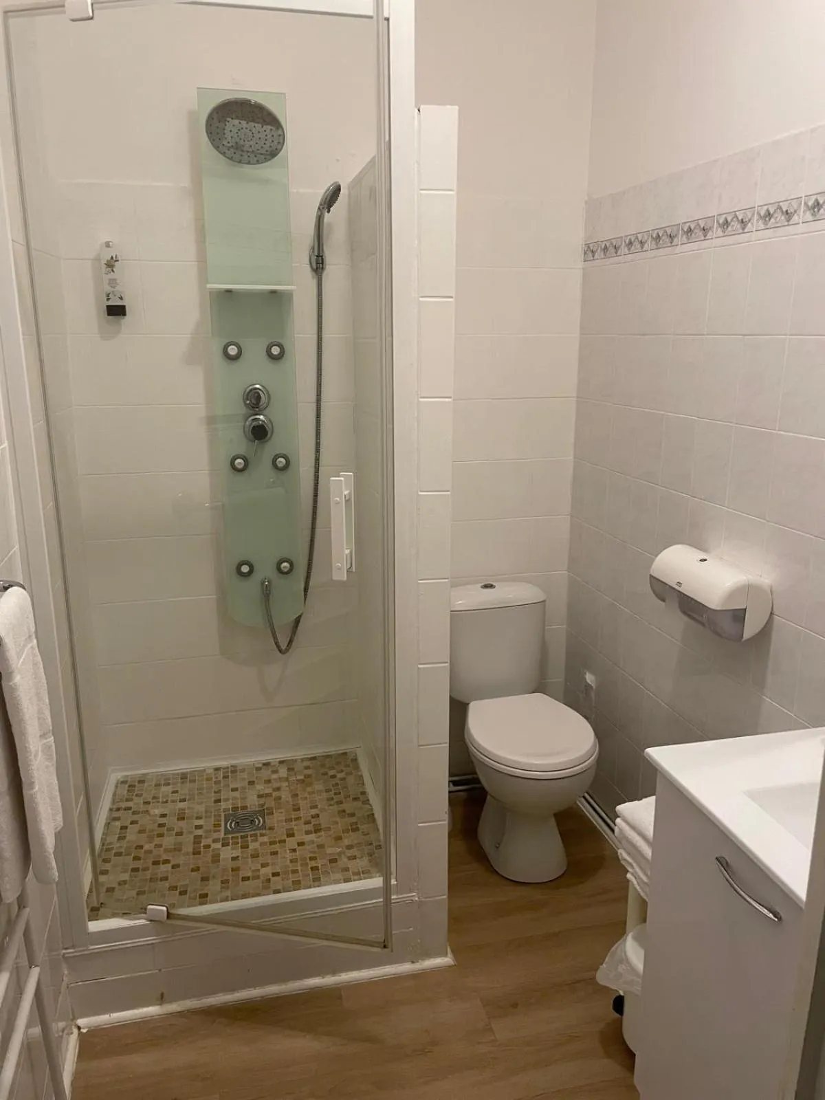 Shower in Logis Hôtel Le Cygne