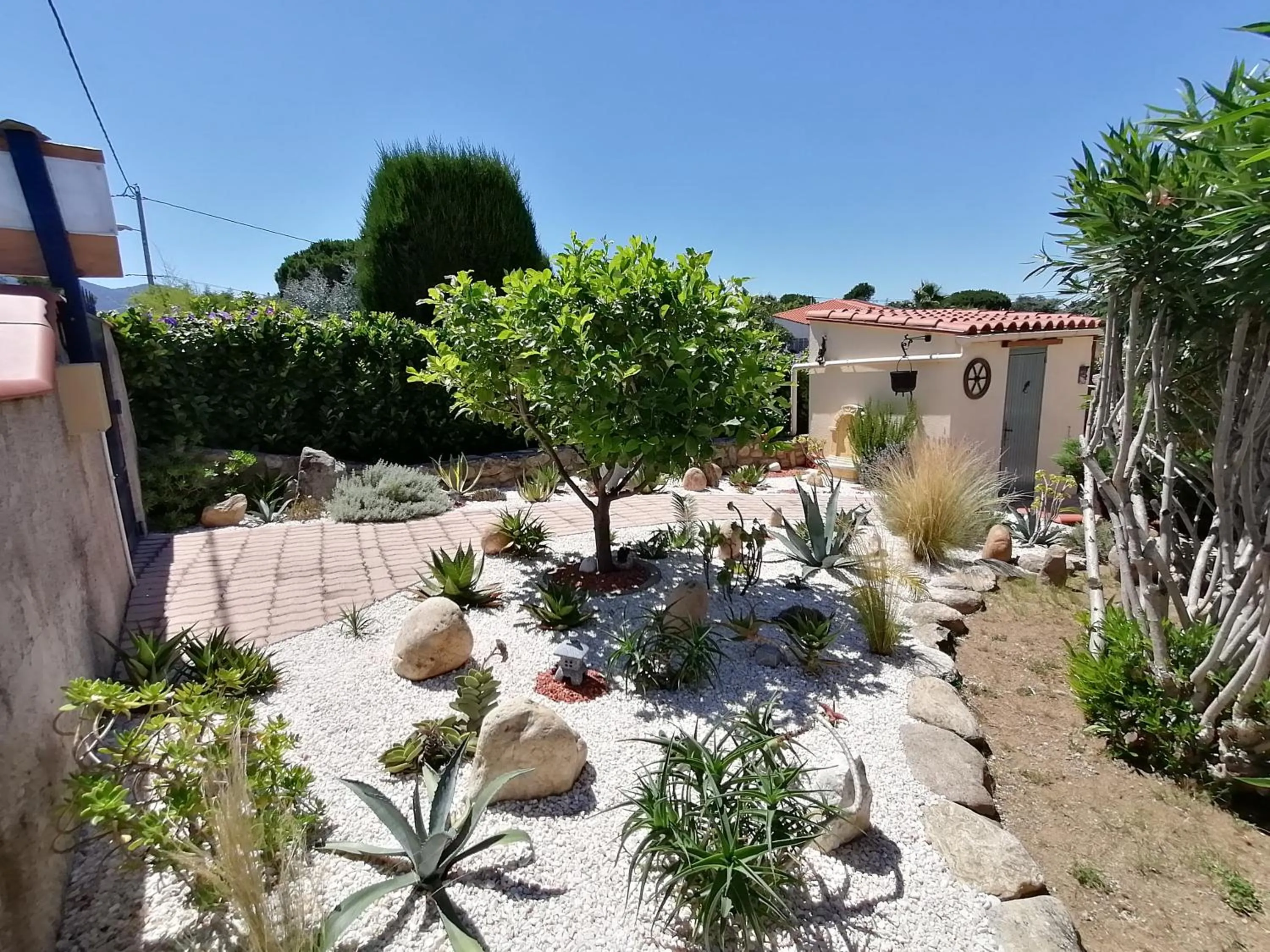 Garden in La Picholine