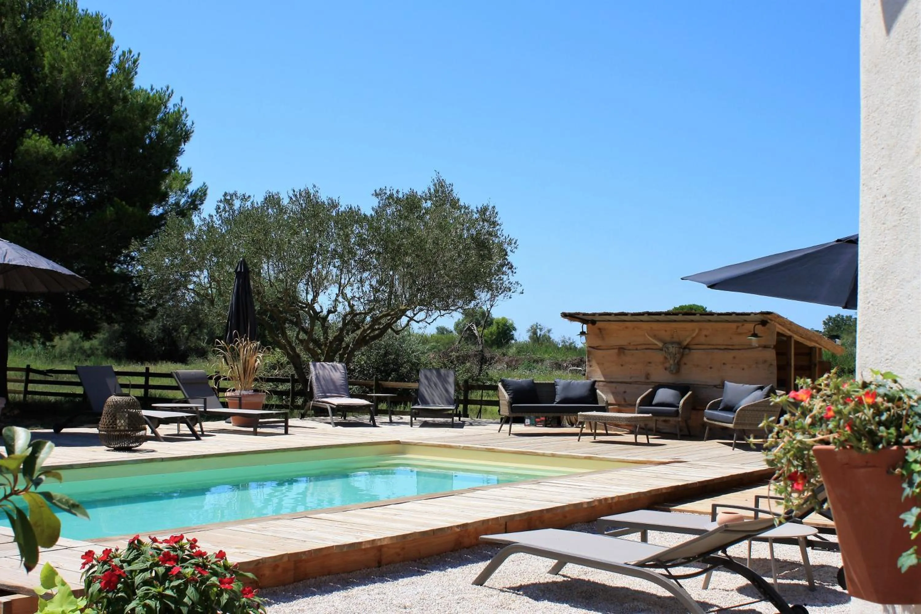 Swimming pool in Mas Fandelou