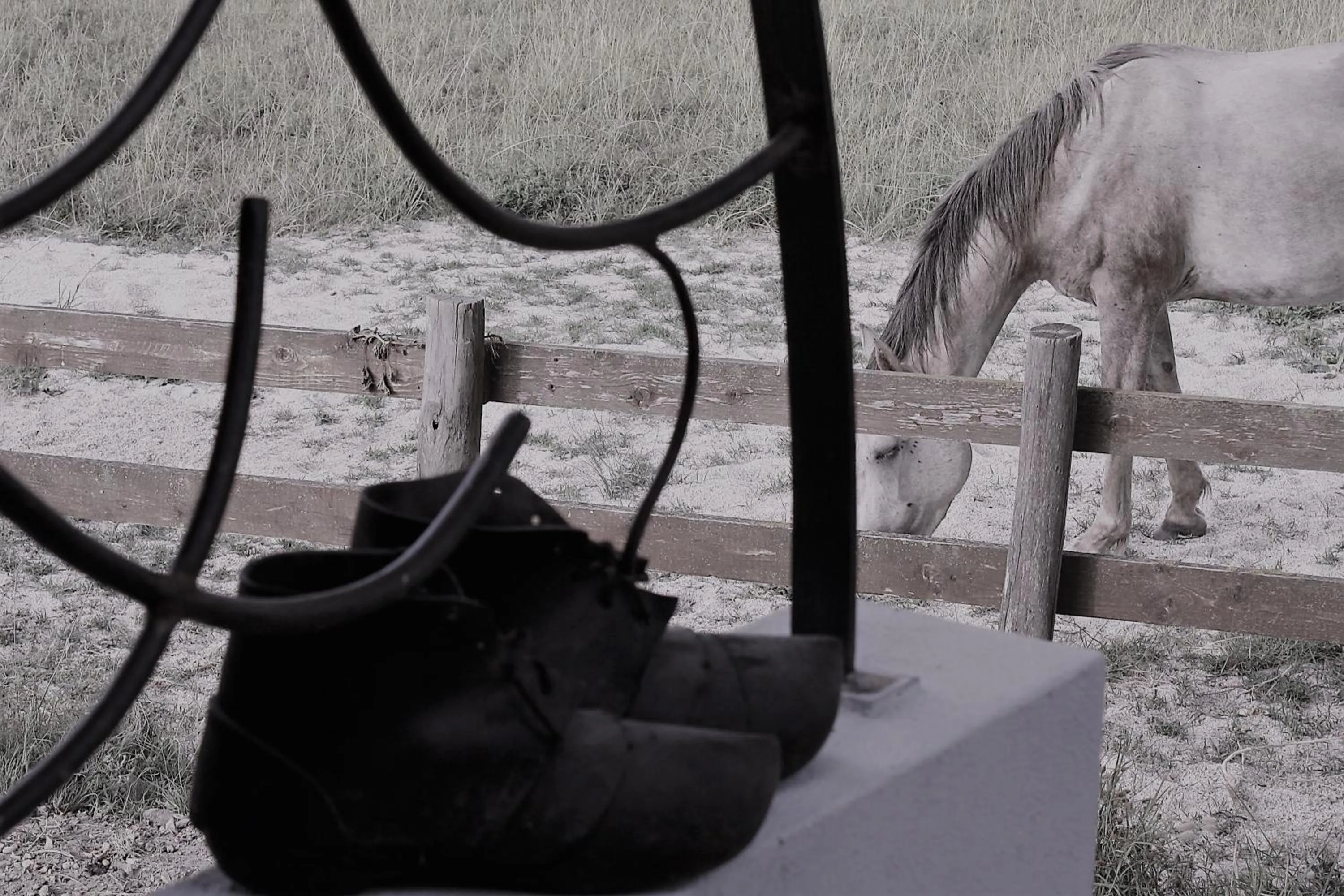 Winter in Mas Fandelou