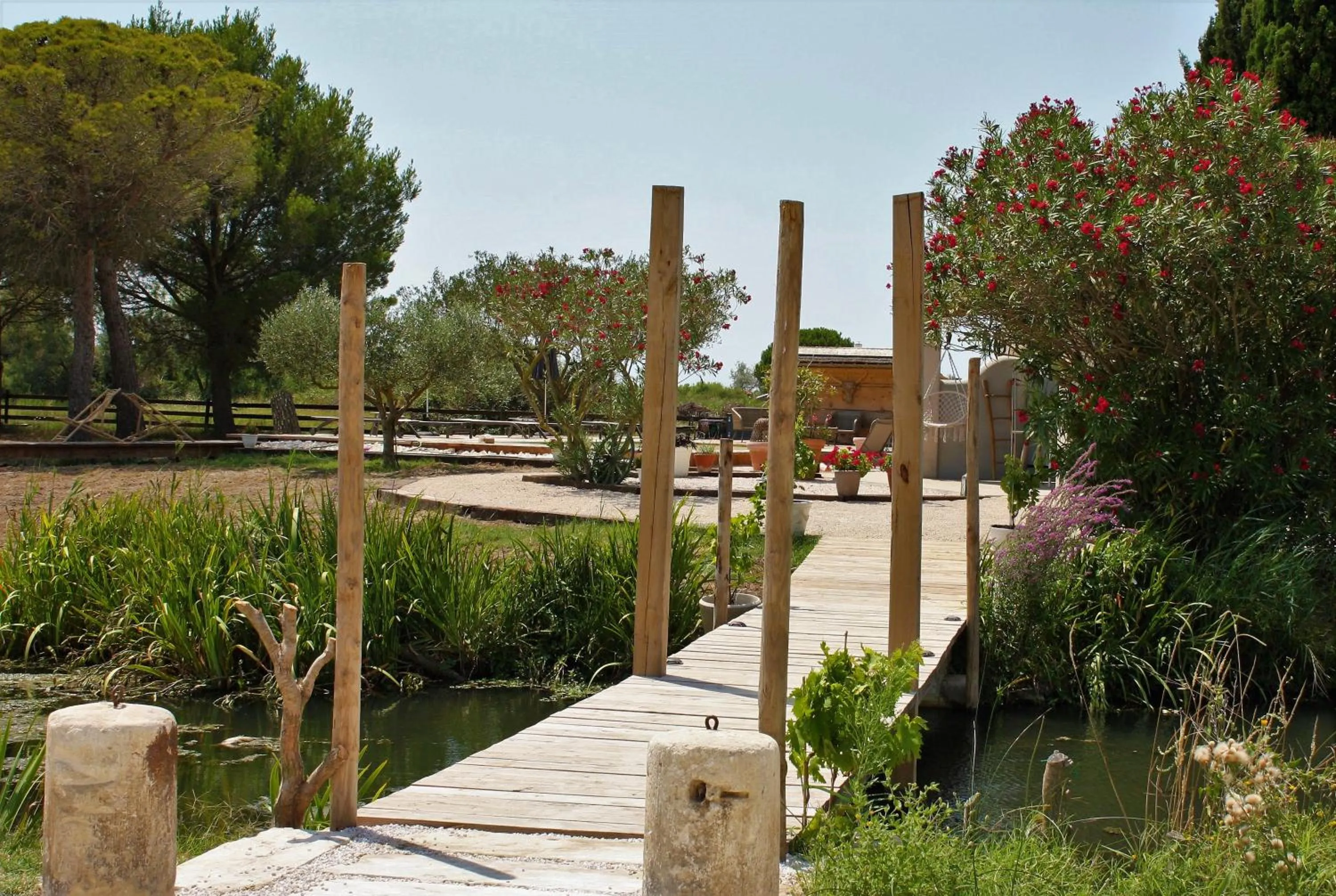 Garden in Mas Fandelou