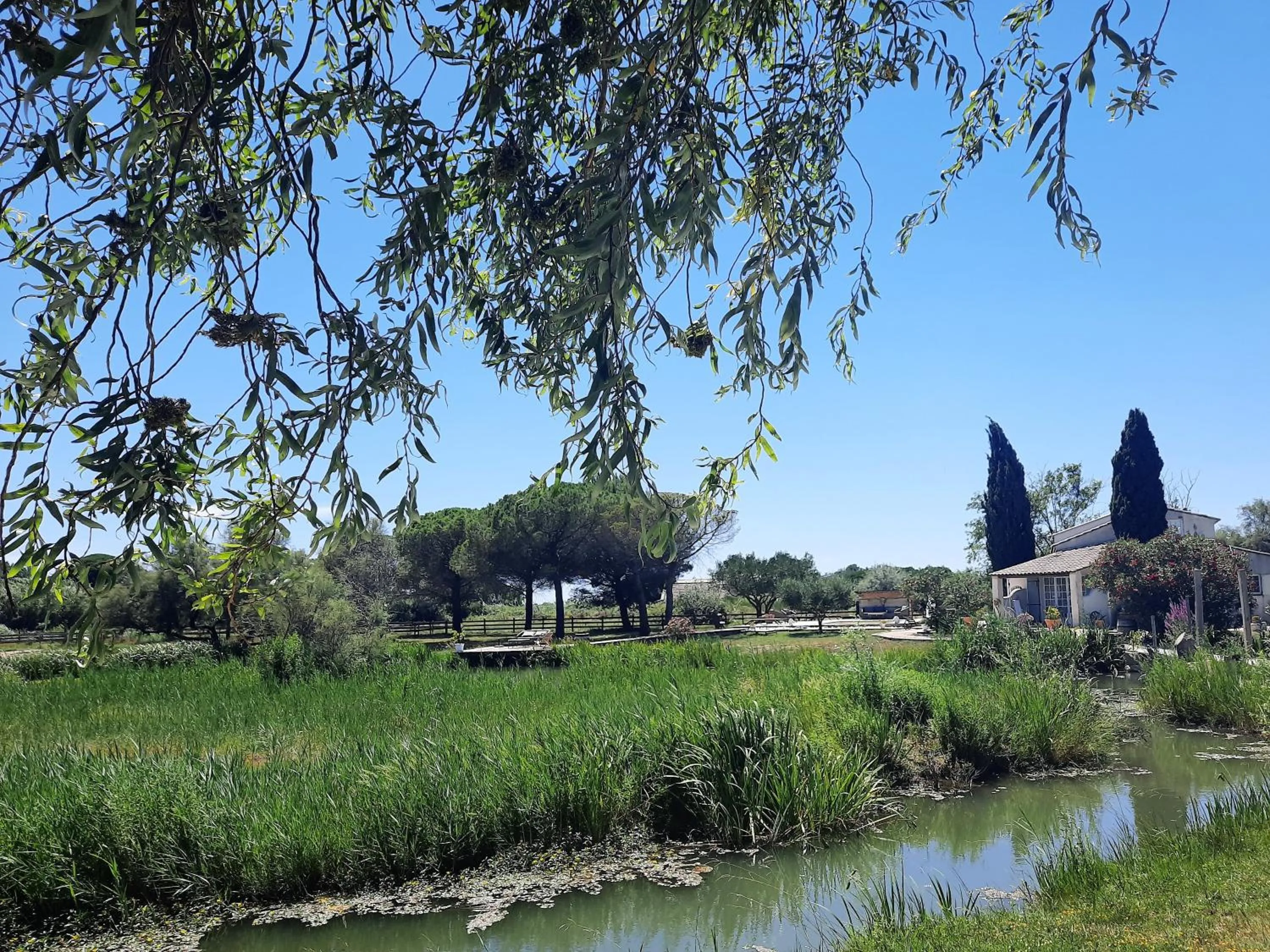 Natural landscape in Mas Fandelou