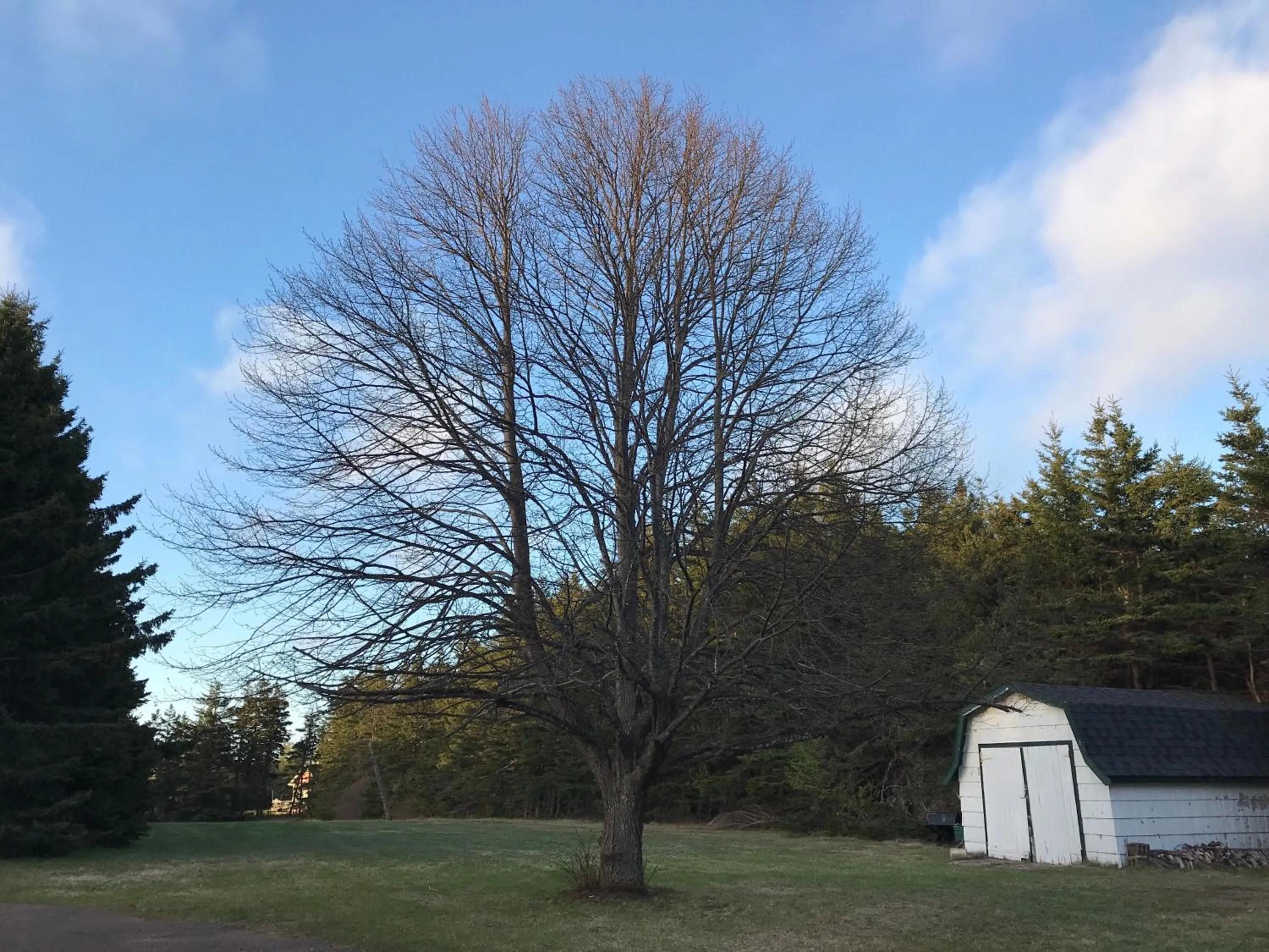 Garden in By the Bay Cottages