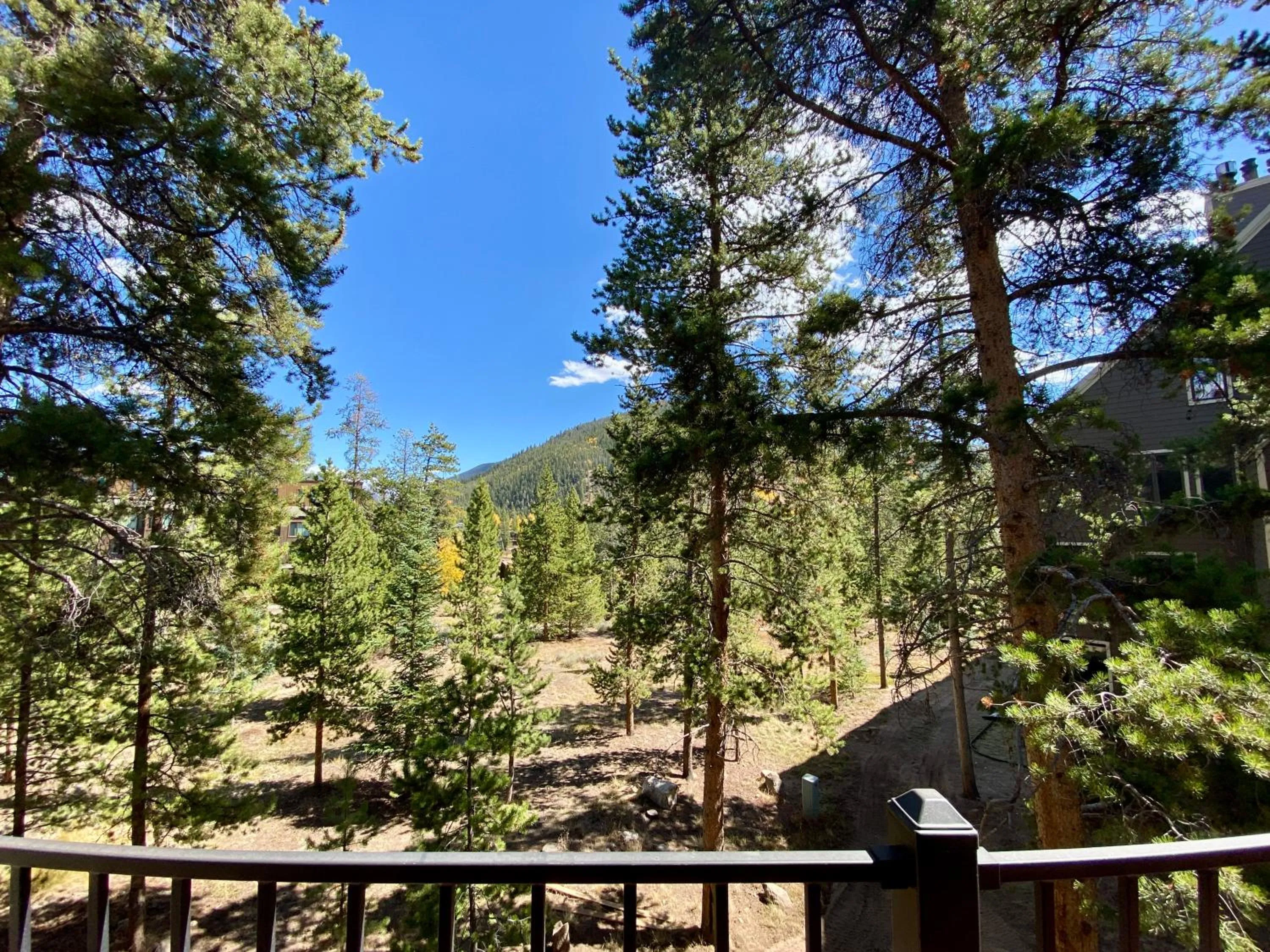Pines 2045 by SummitCove Lodging