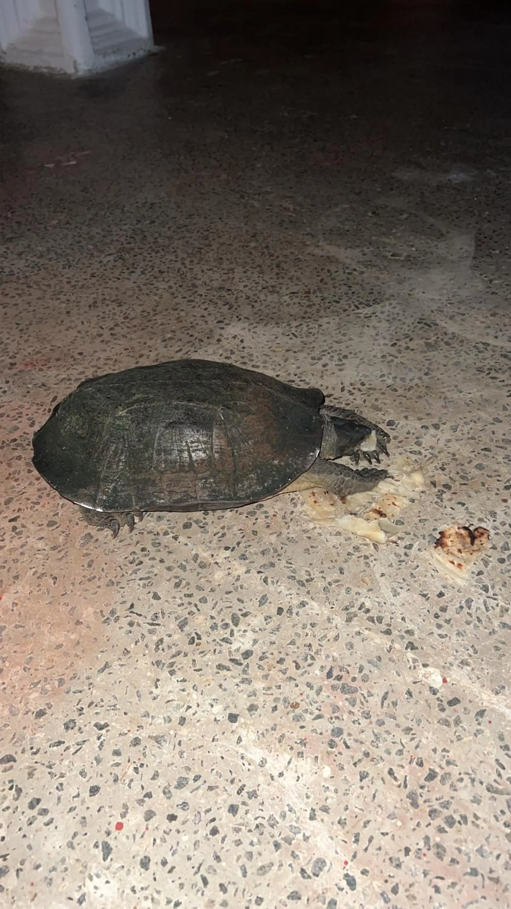 Seth Villa by Magampura Resorts