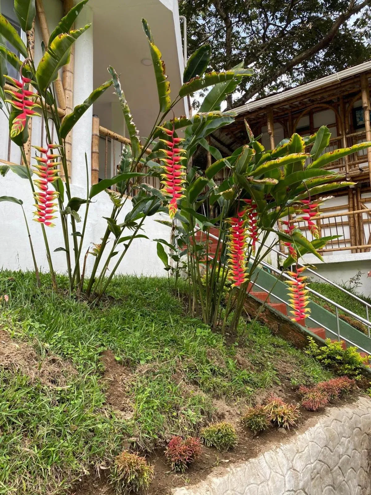 Garden in Hotel West California