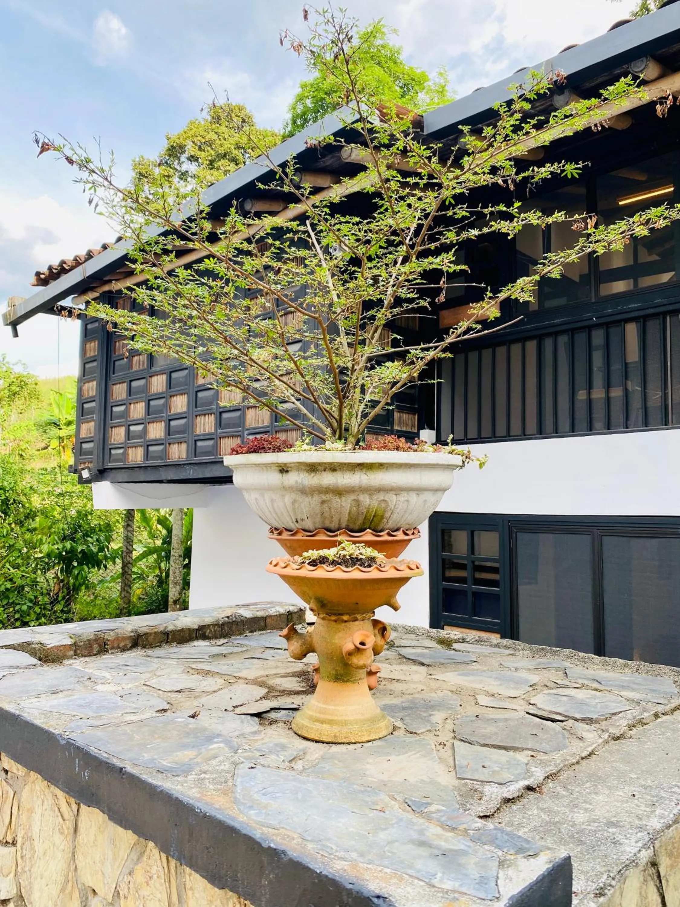 Garden in Hotel West California