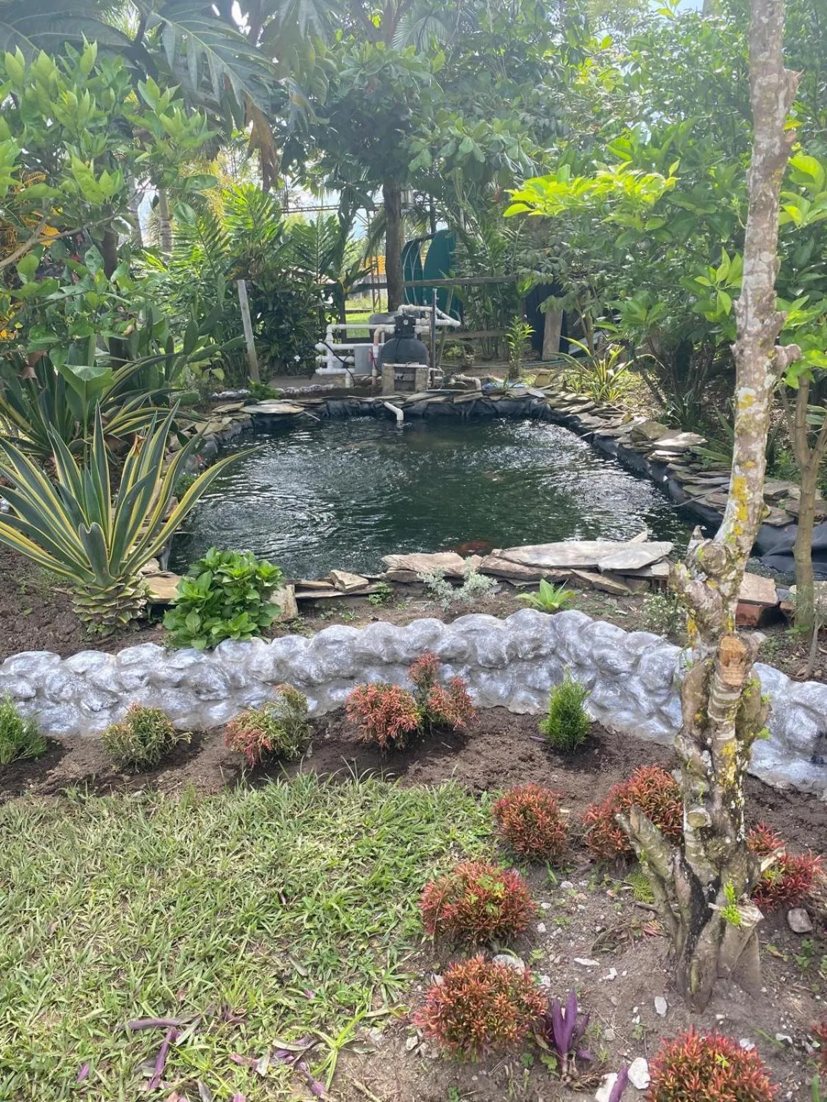 Natural landscape in Hotel West California