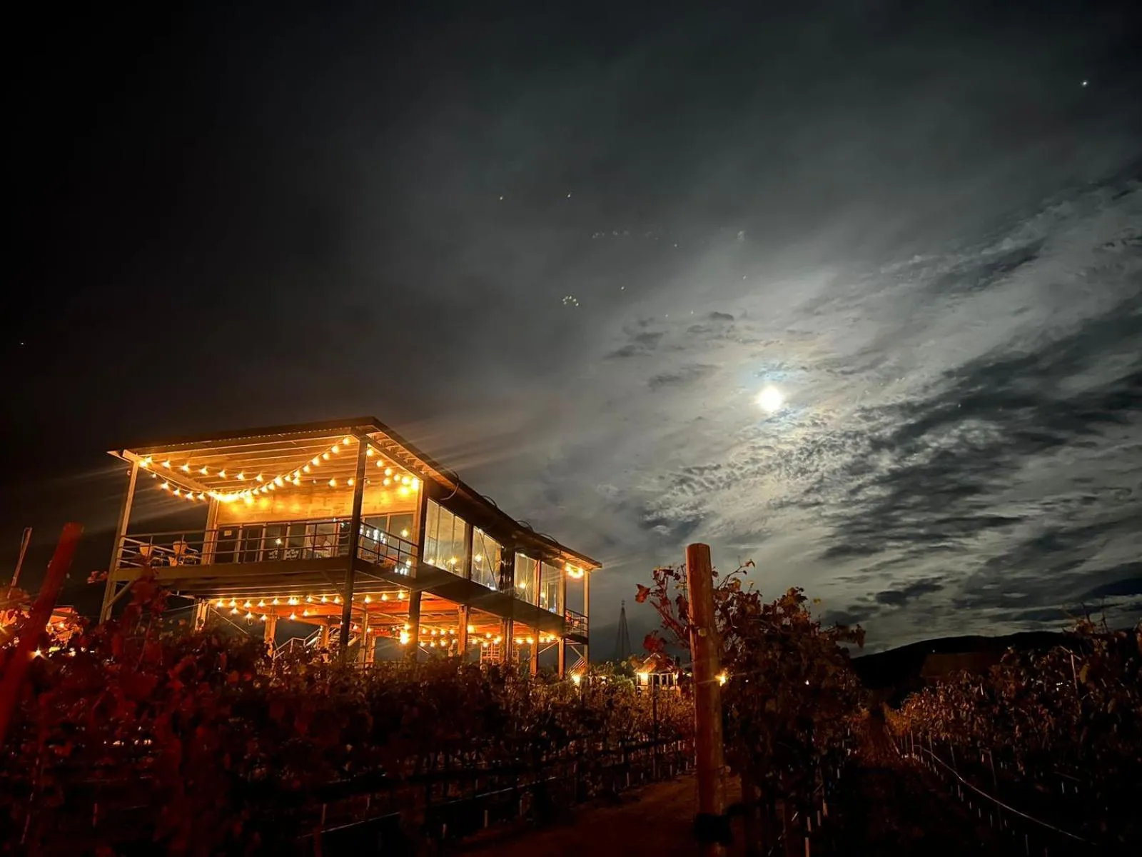 Lounge or bar in Don Tomas Viñedo cabañas
