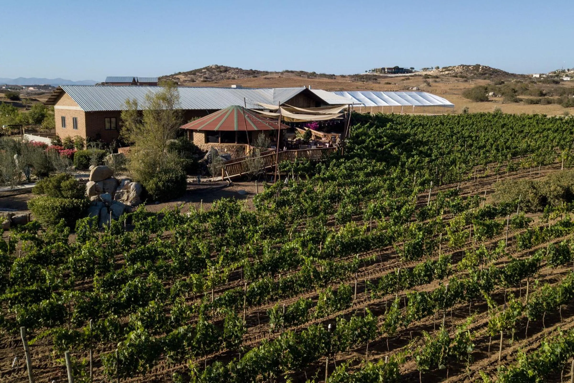 Property building in Don Tomas Viñedo cabañas
