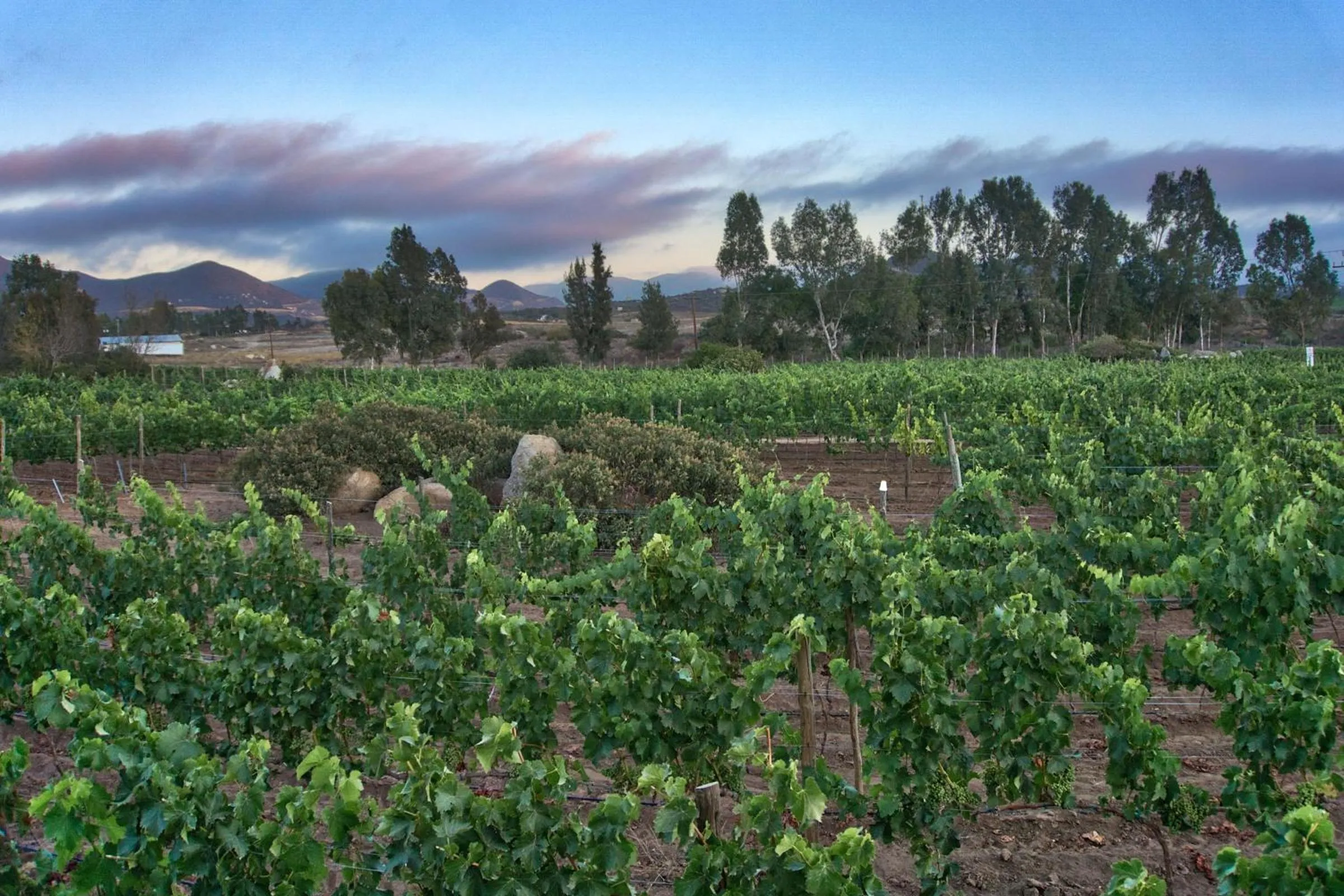 Property building in Don Tomas Viñedo cabañas