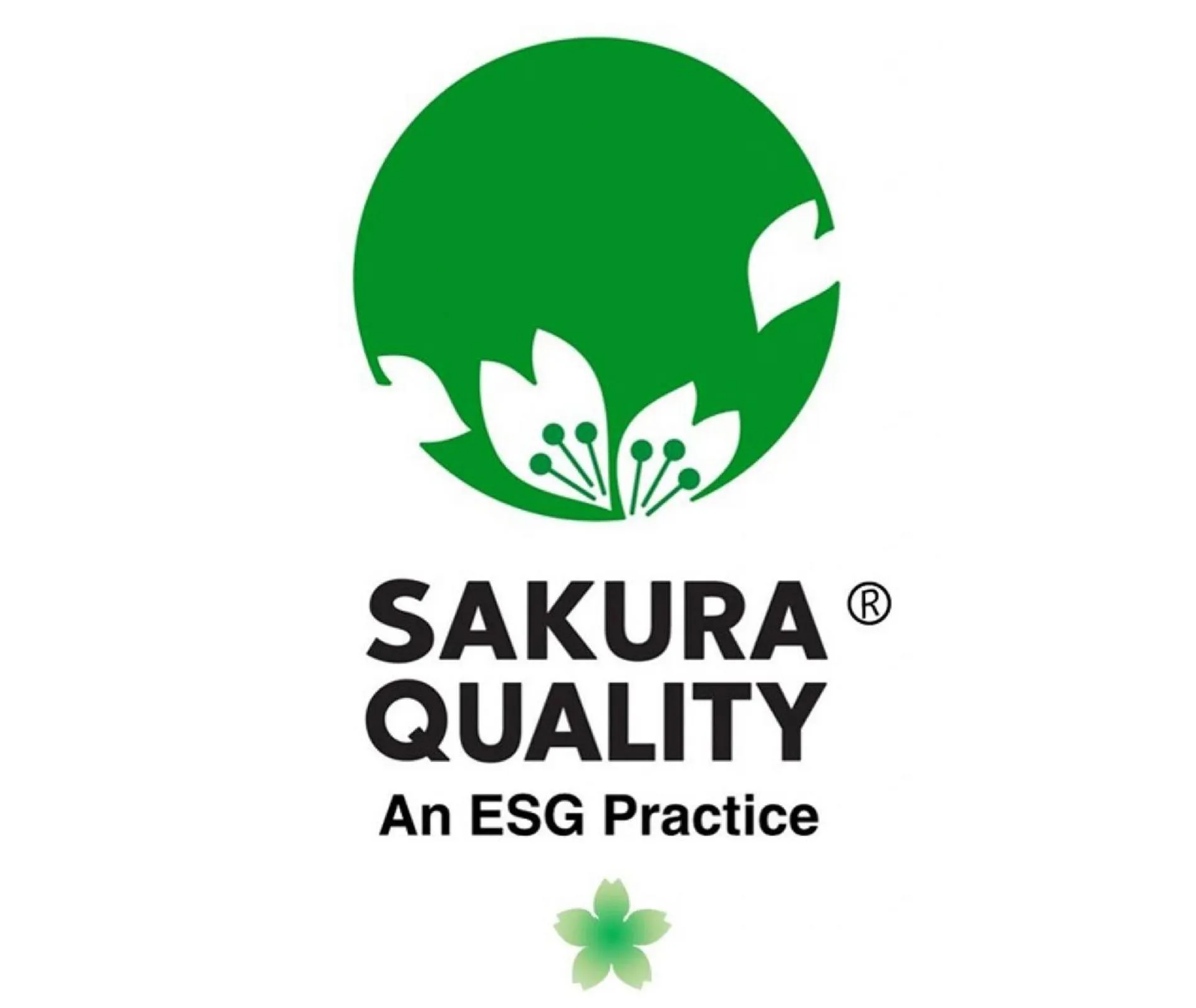 Other in Hotel JAL City Kannai Yokohama