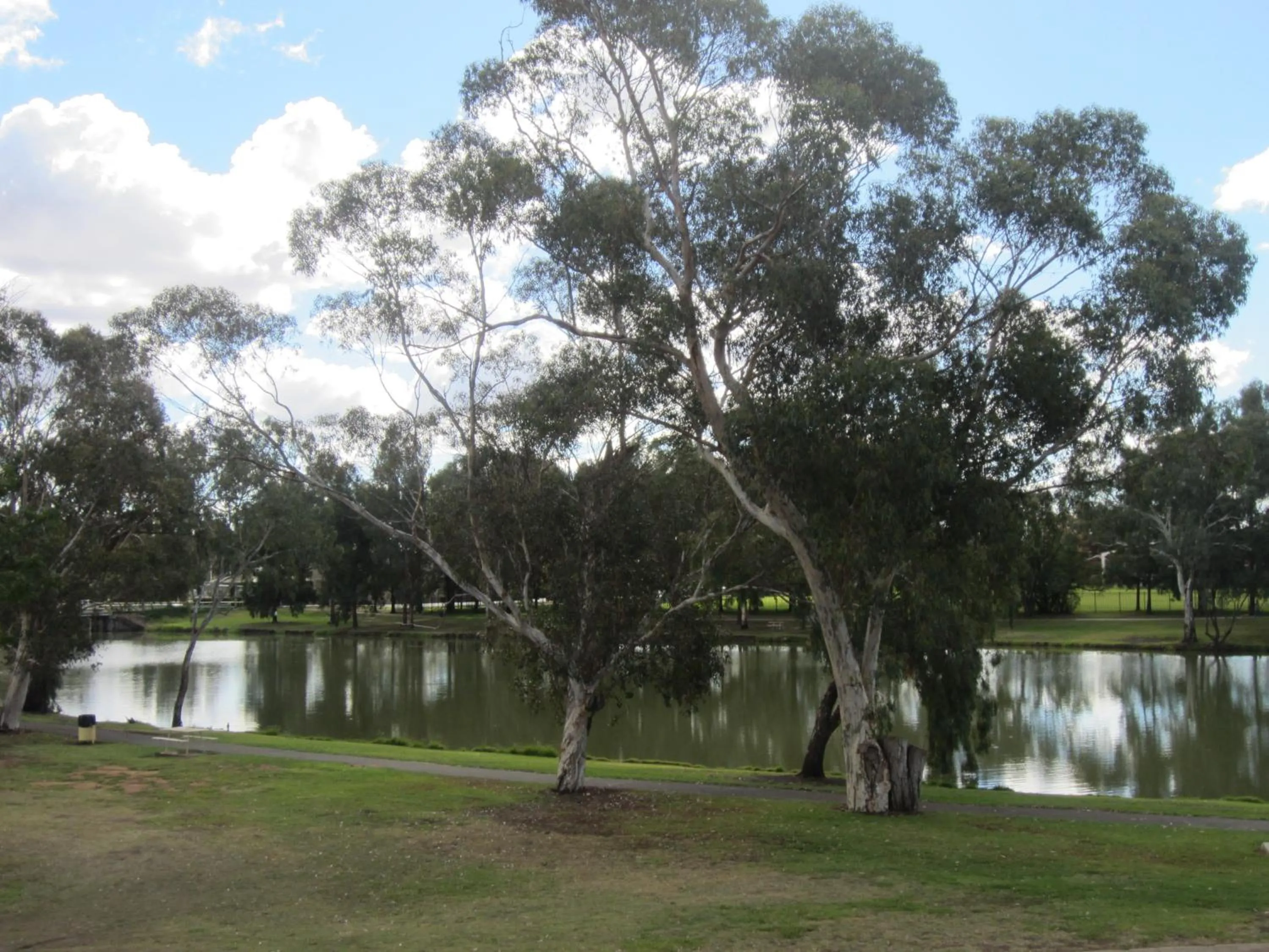 River view in Lake Forbes Motel