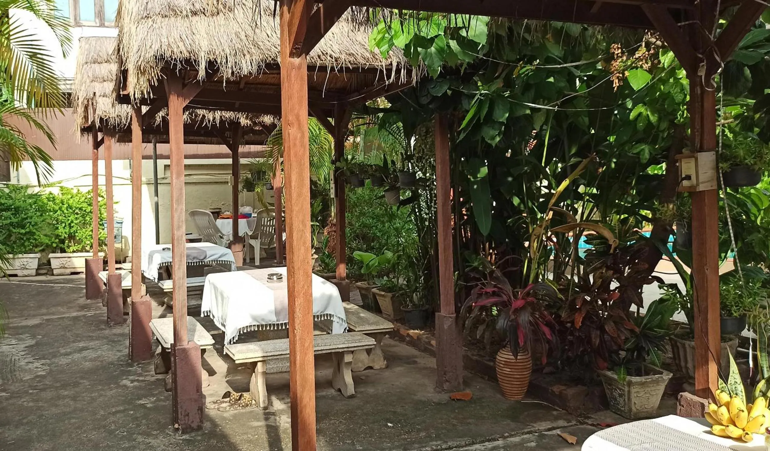 Garden in Villa Sisavad Guesthouse