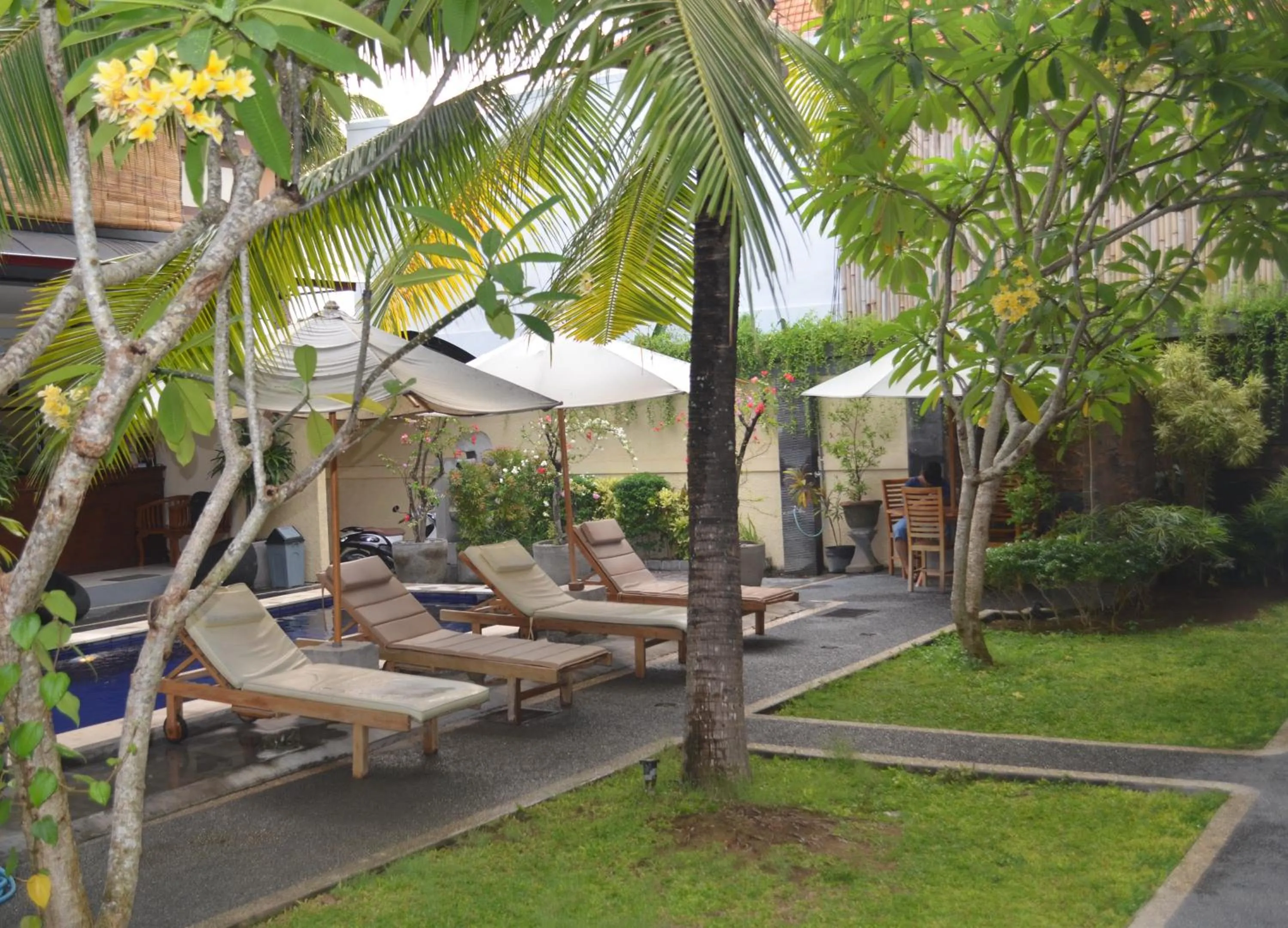 Garden in Dabumito Guest House