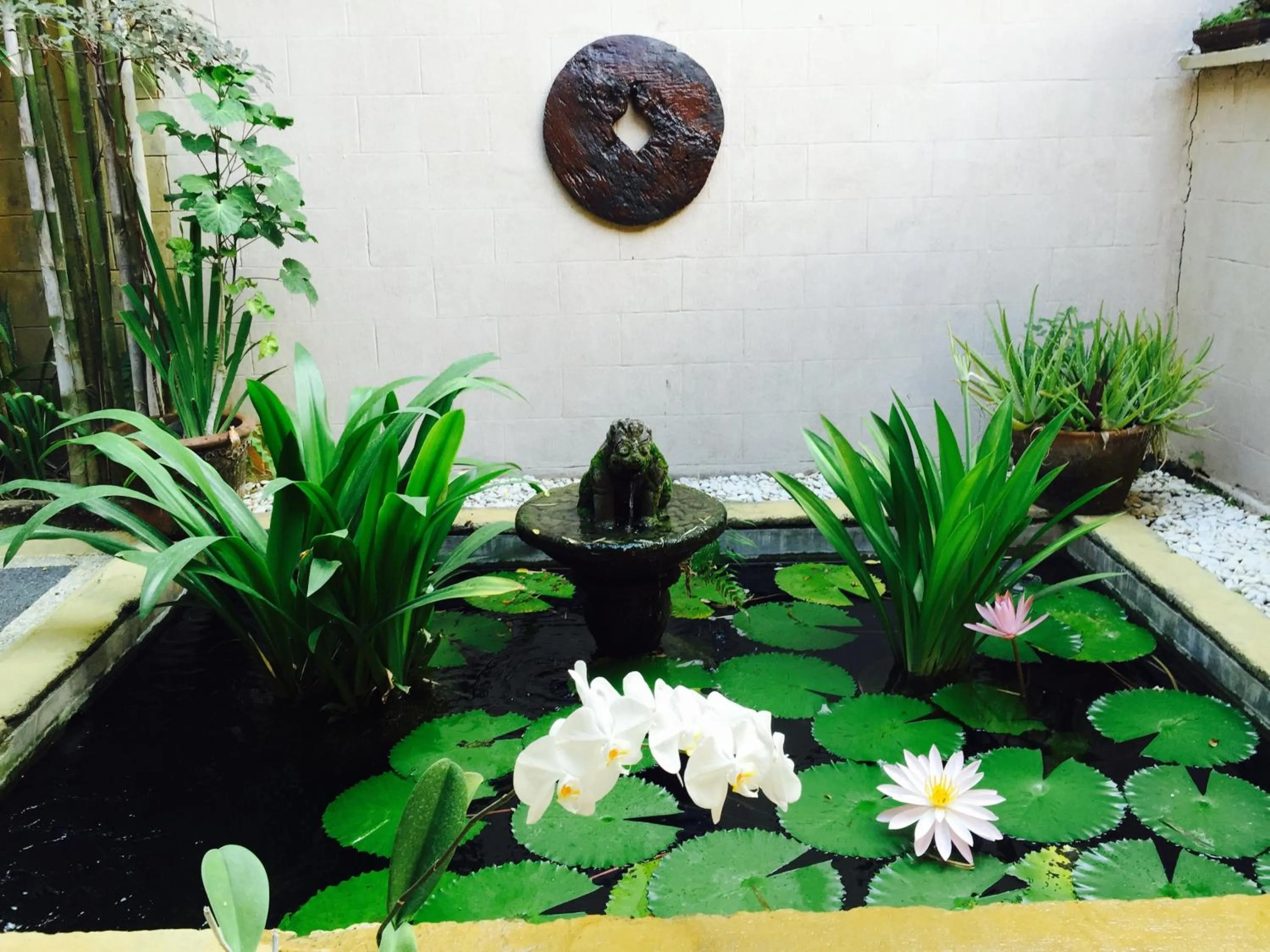 Garden view in Villa Plawa Asri