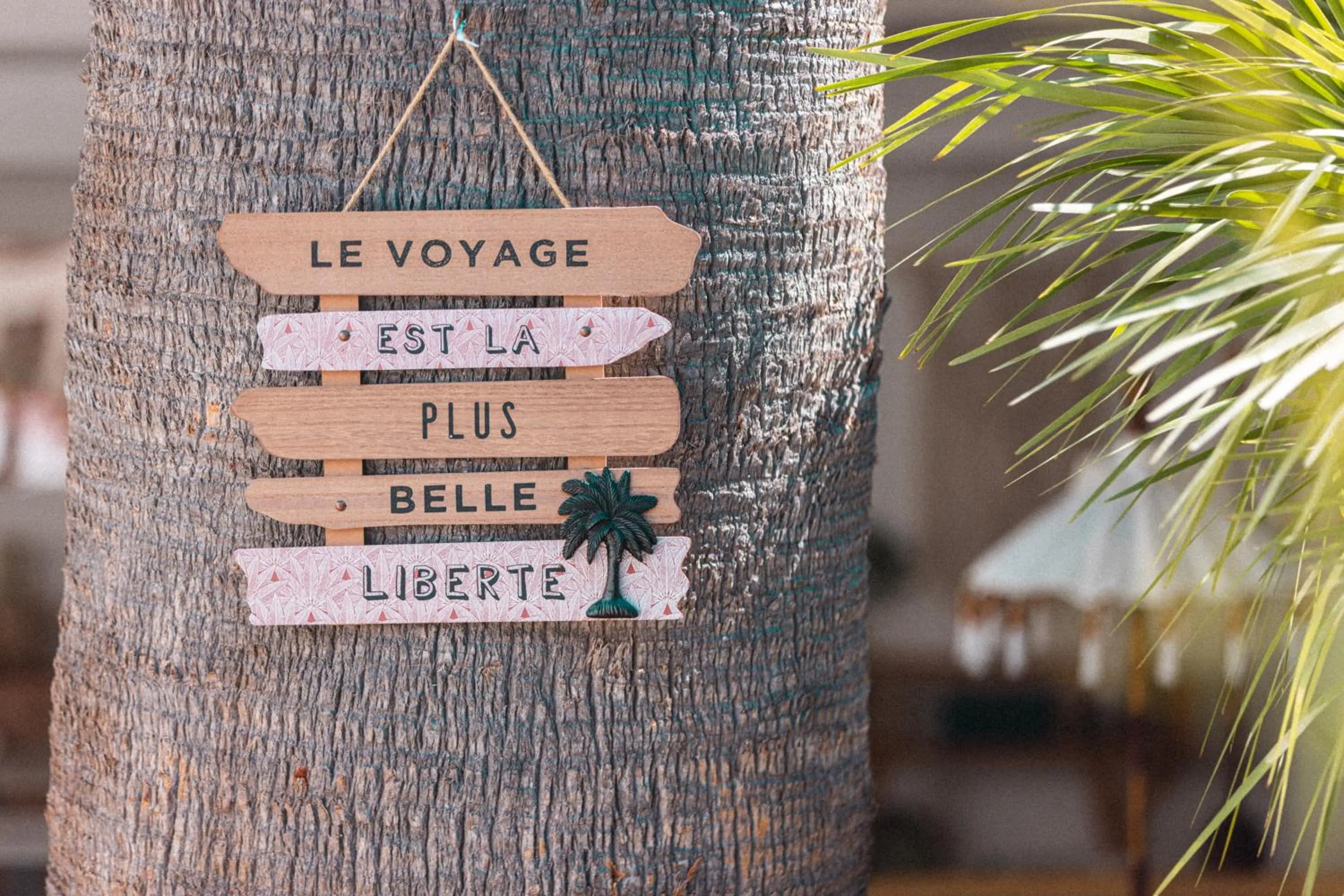 Garden in Hôtel La Villa Juan Beach