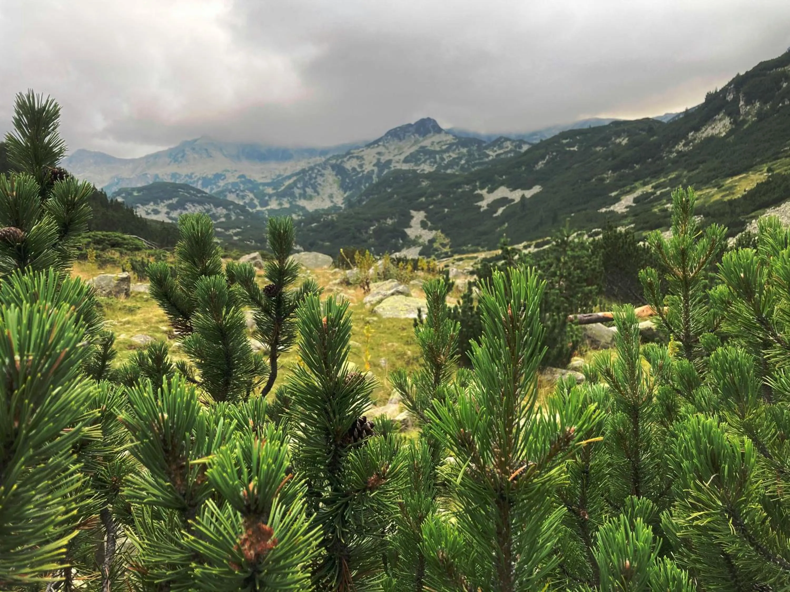 Nearby landmark in Ores Boutique Hotel