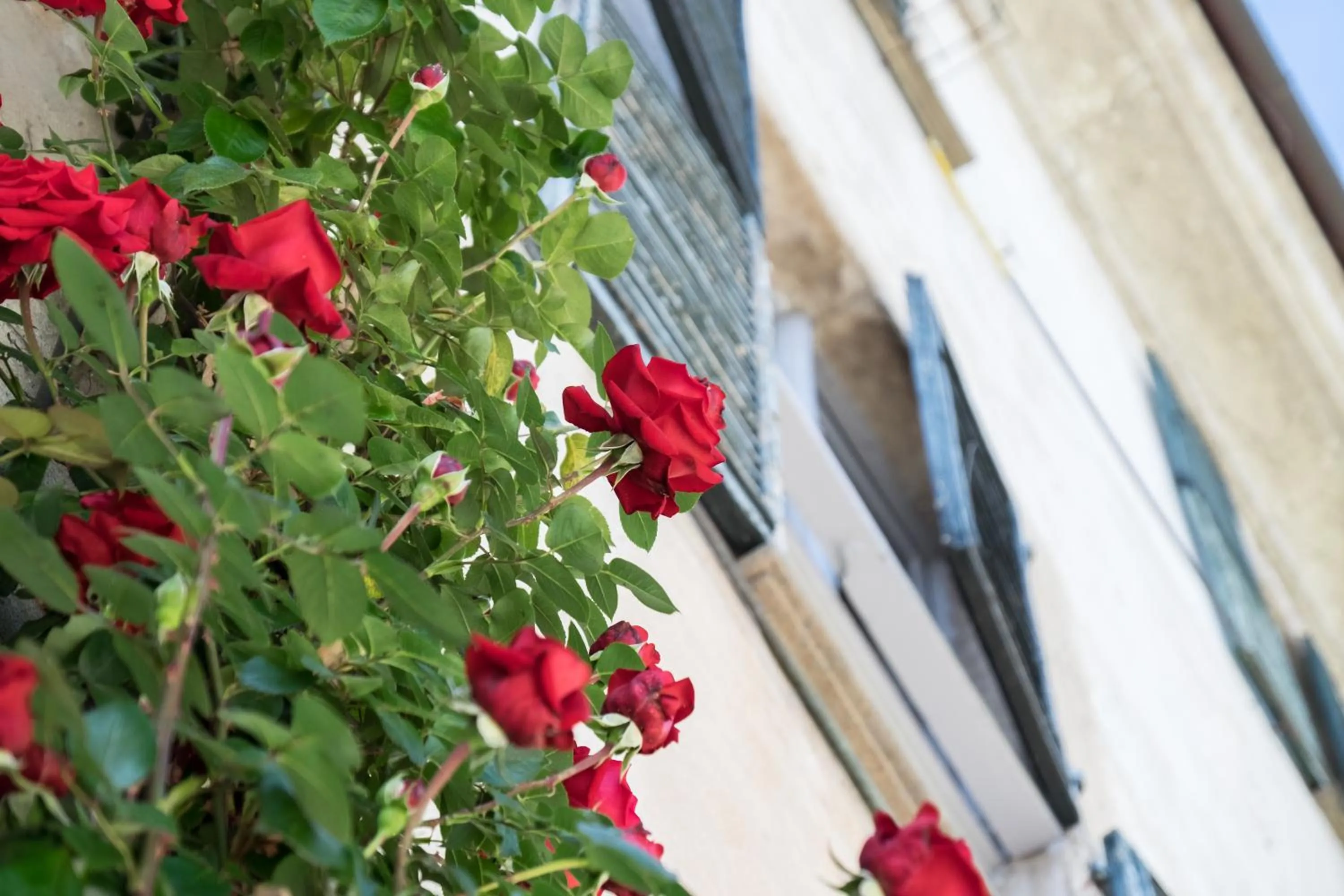 Property building in Villa Rambaudi