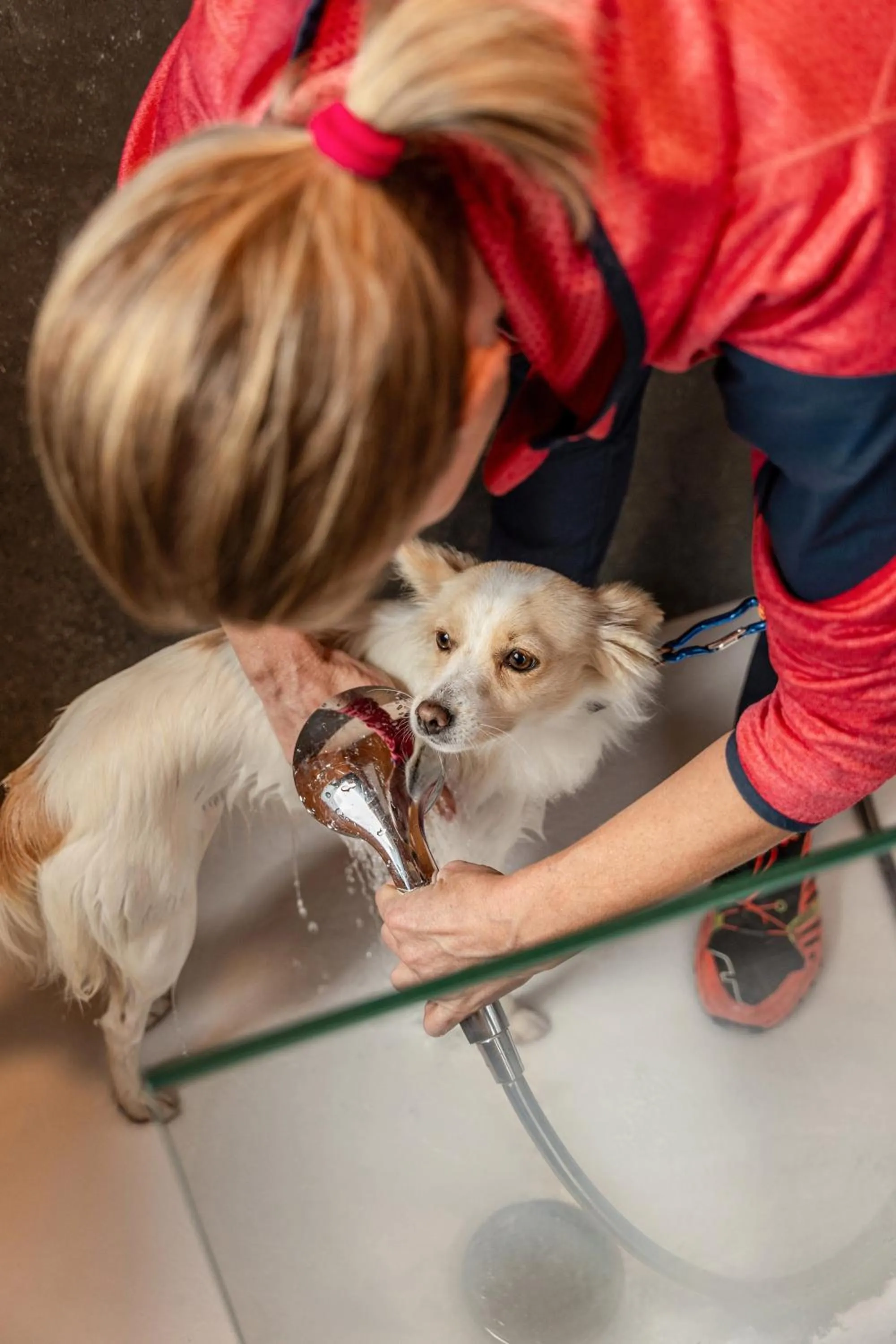 Pets in Schwarzer Adler