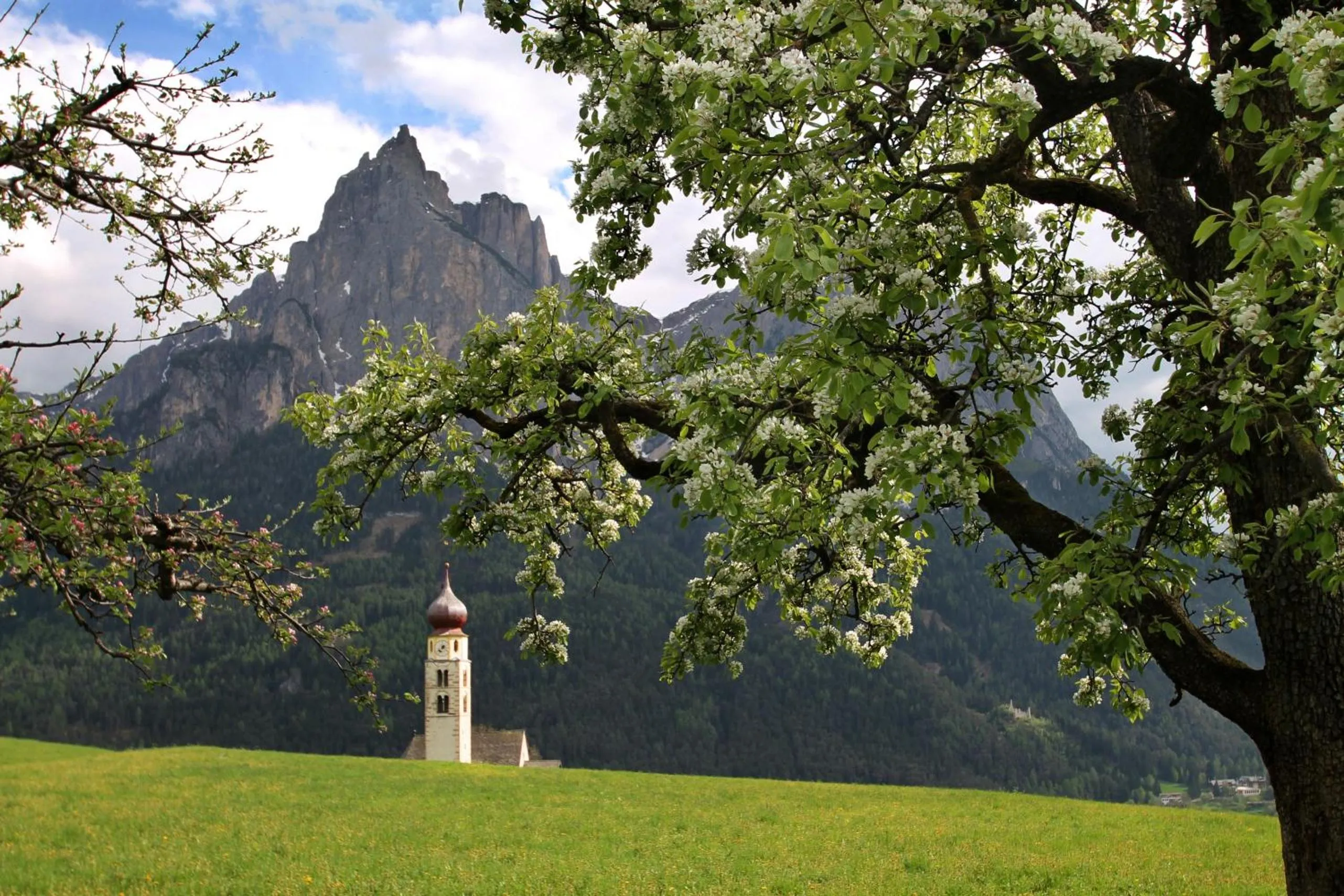 Nearby landmark in Schwarzer Adler