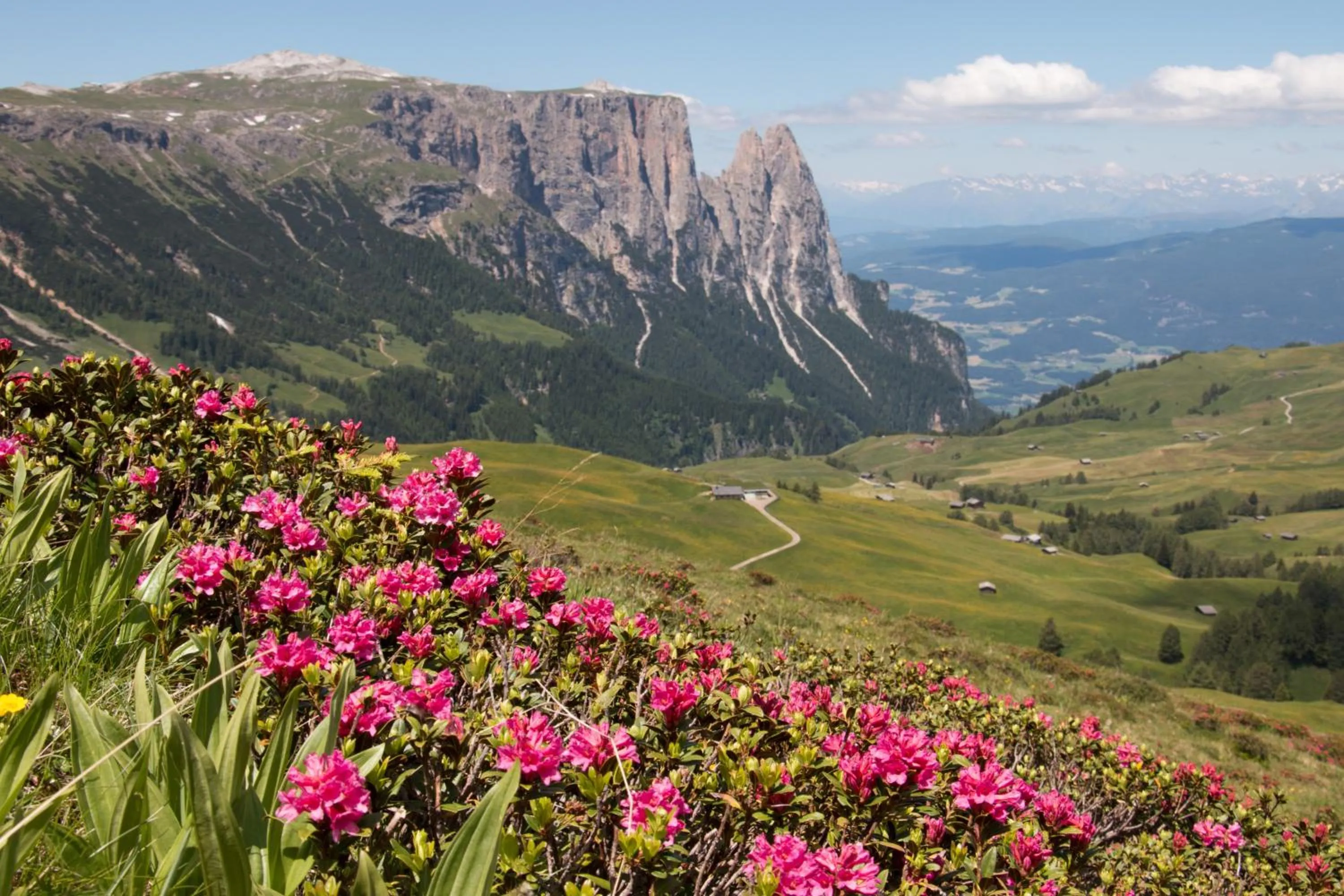 Nearby landmark in Schwarzer Adler