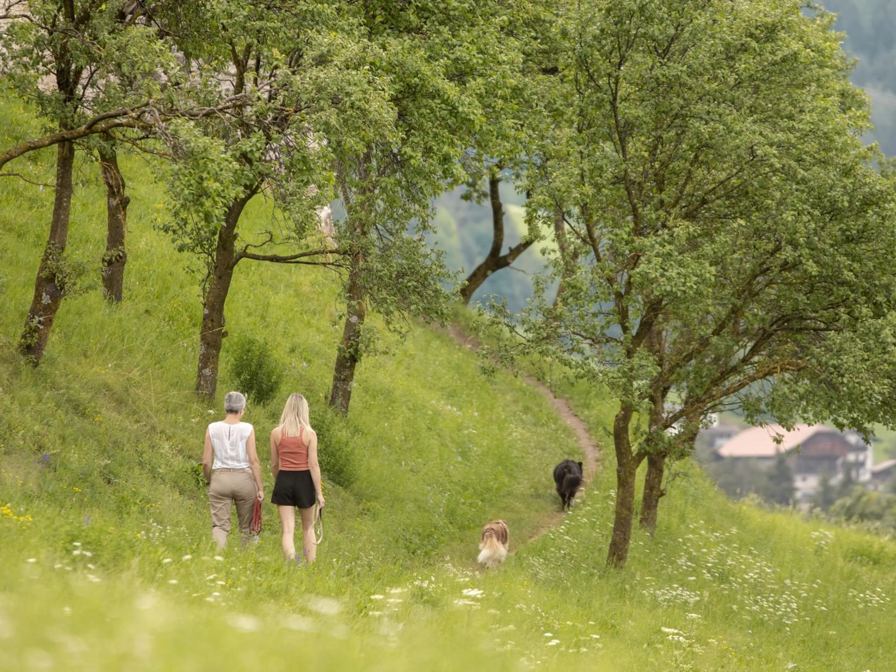 Spring in Schwarzer Adler