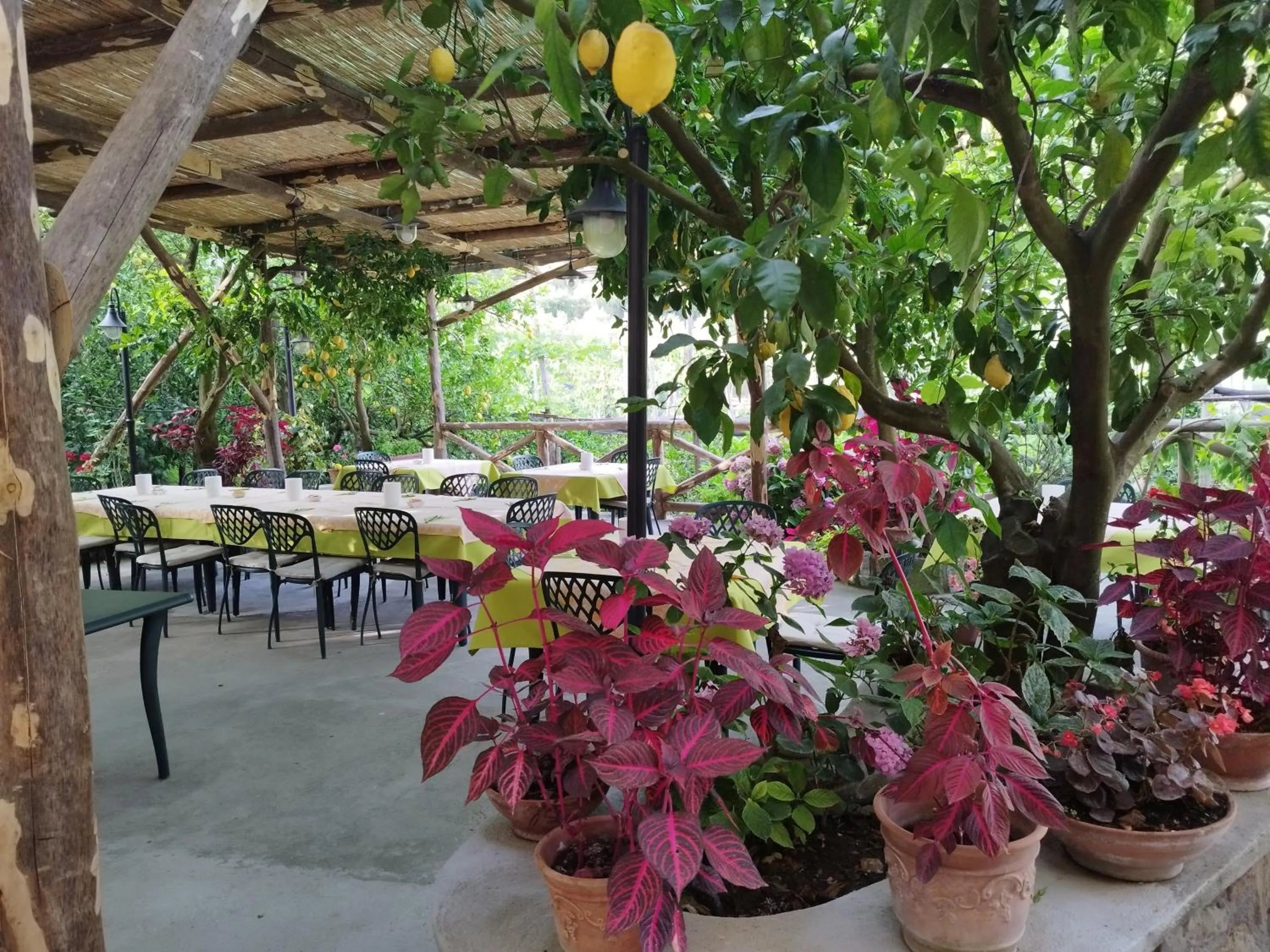 Restaurant/places to eat in Agriturismo La Lobra