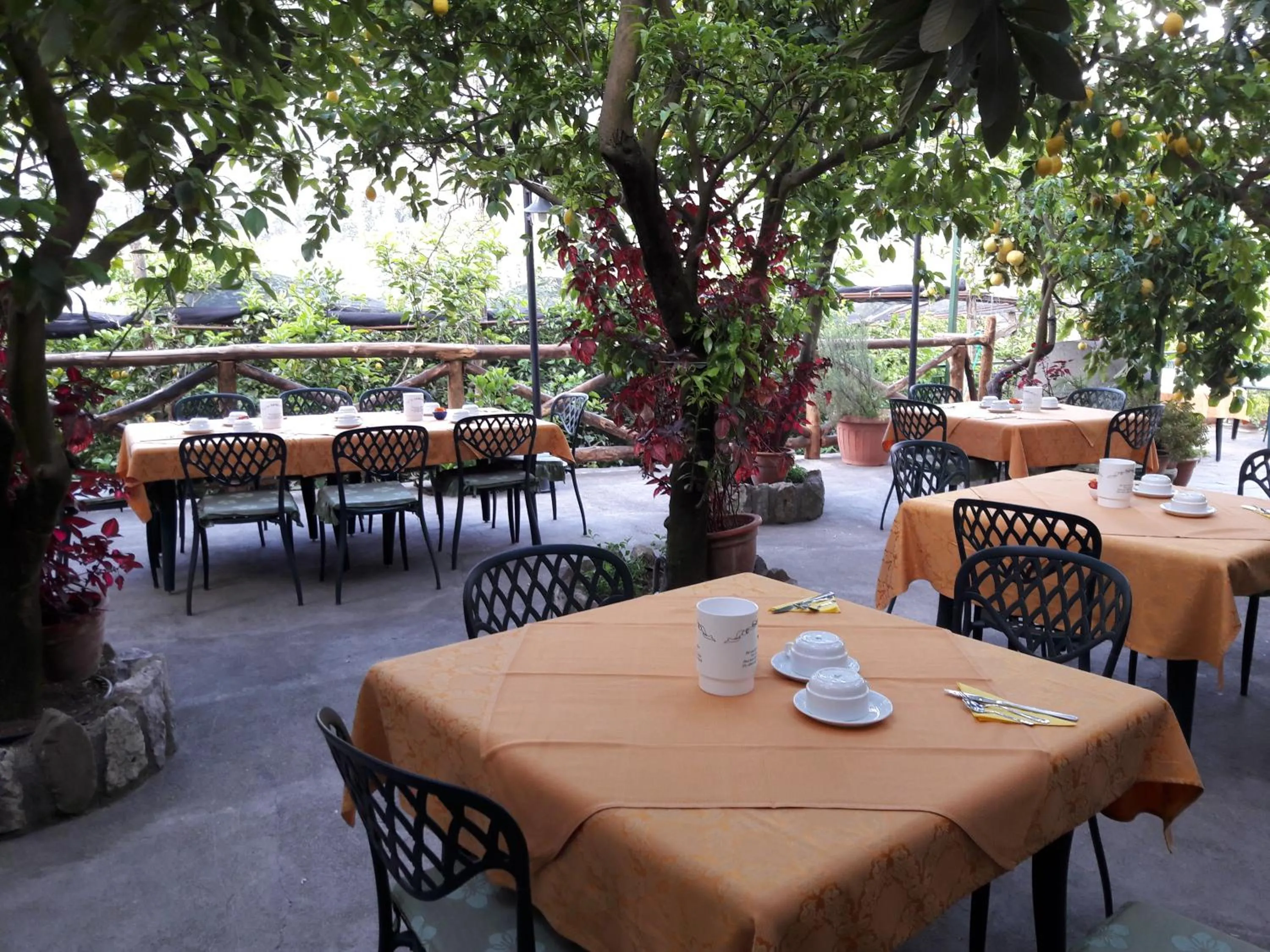 Food and drinks in Agriturismo La Lobra