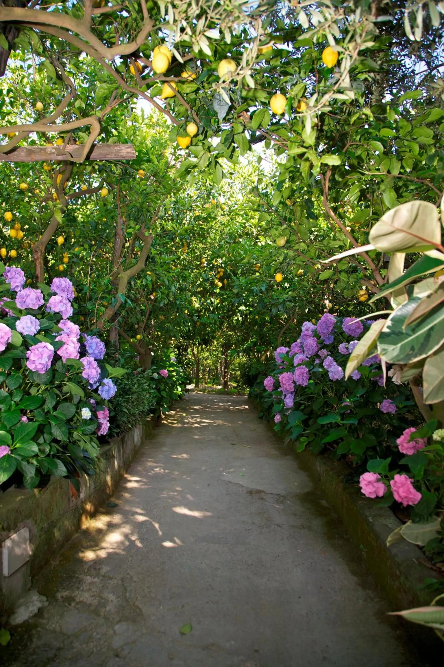 Day in Agriturismo La Lobra