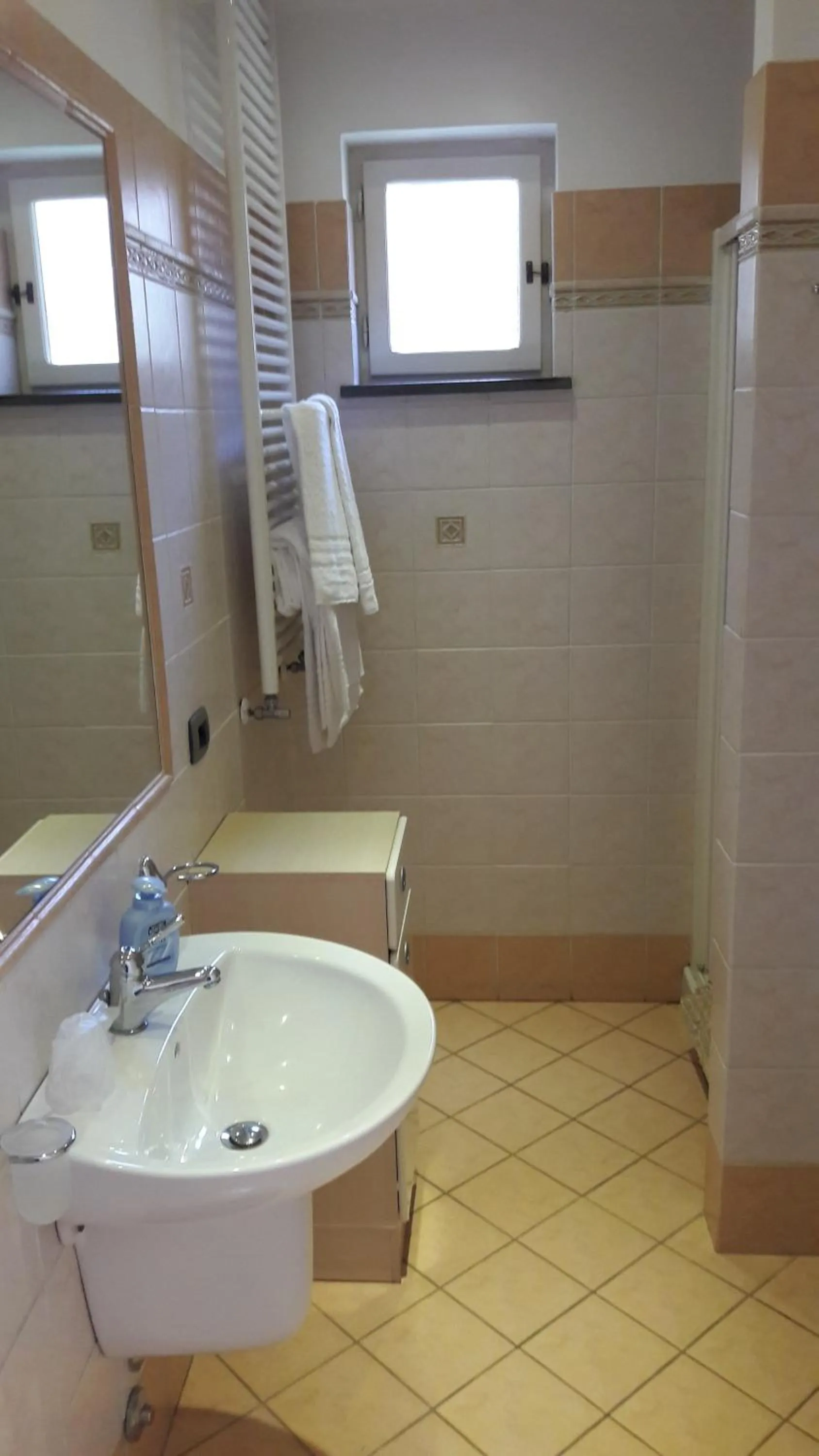 Bathroom in Agriturismo La Lobra