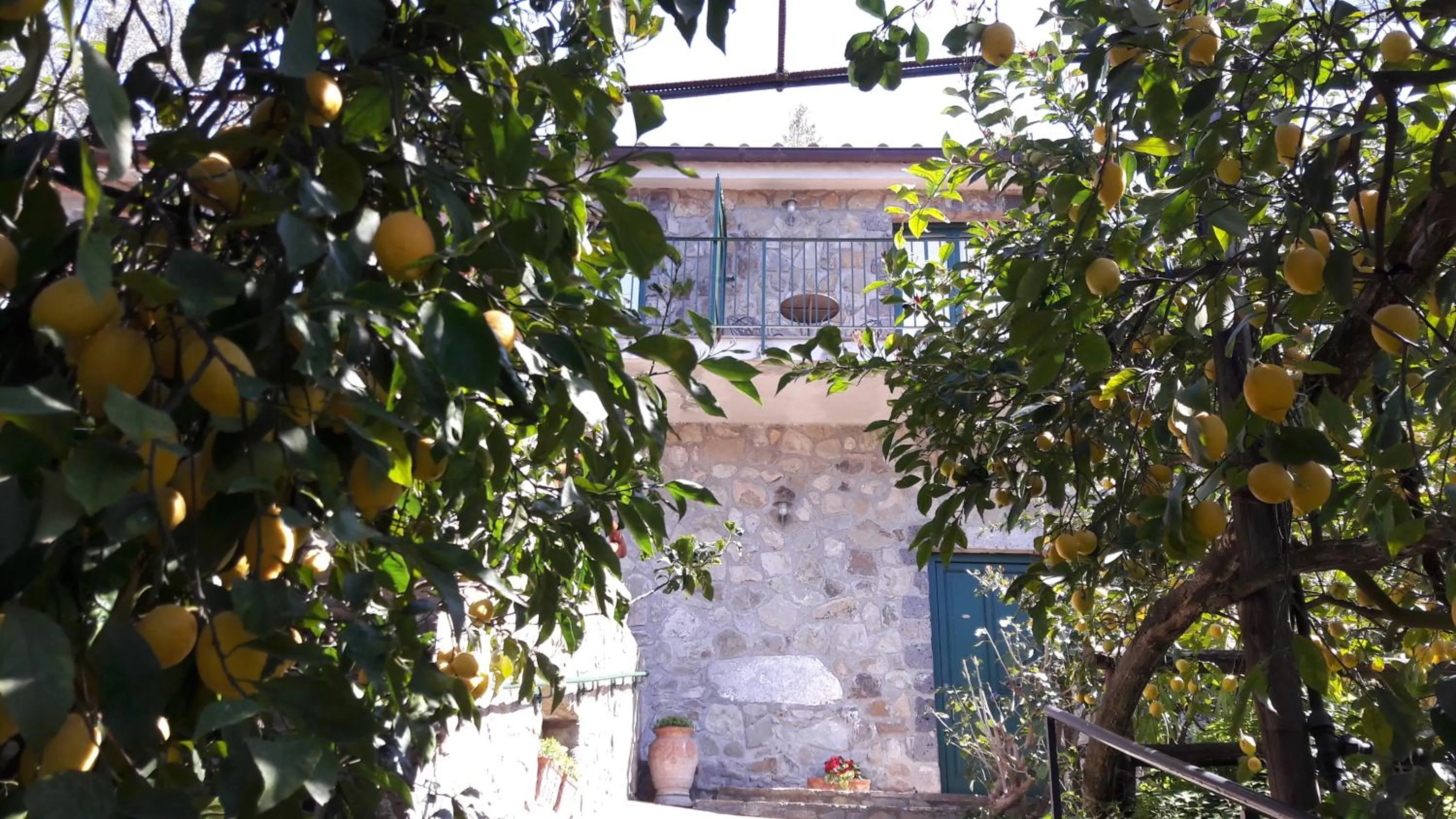 Garden in Agriturismo La Lobra