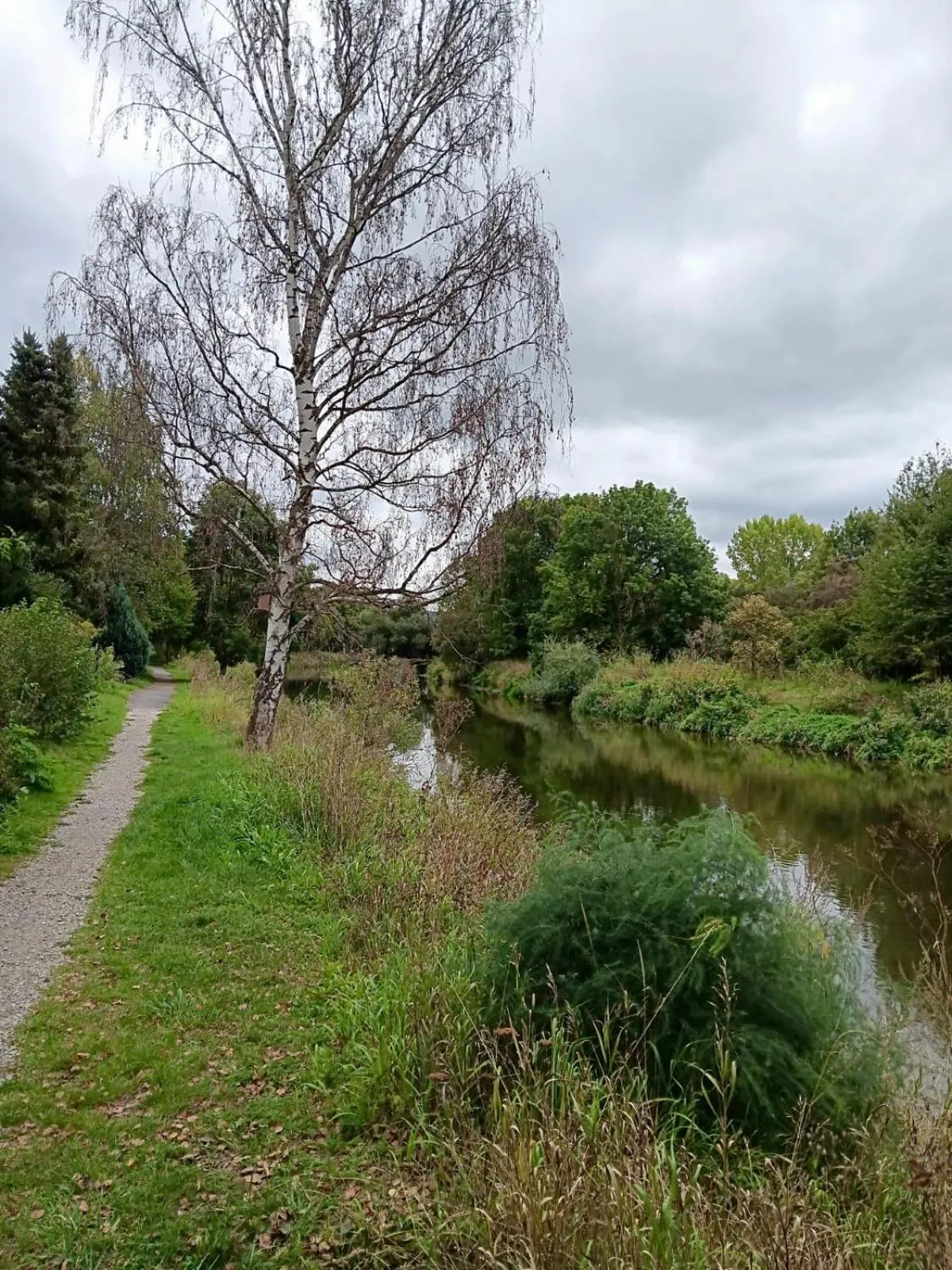 River view in Landhotel Gemeindeschänke