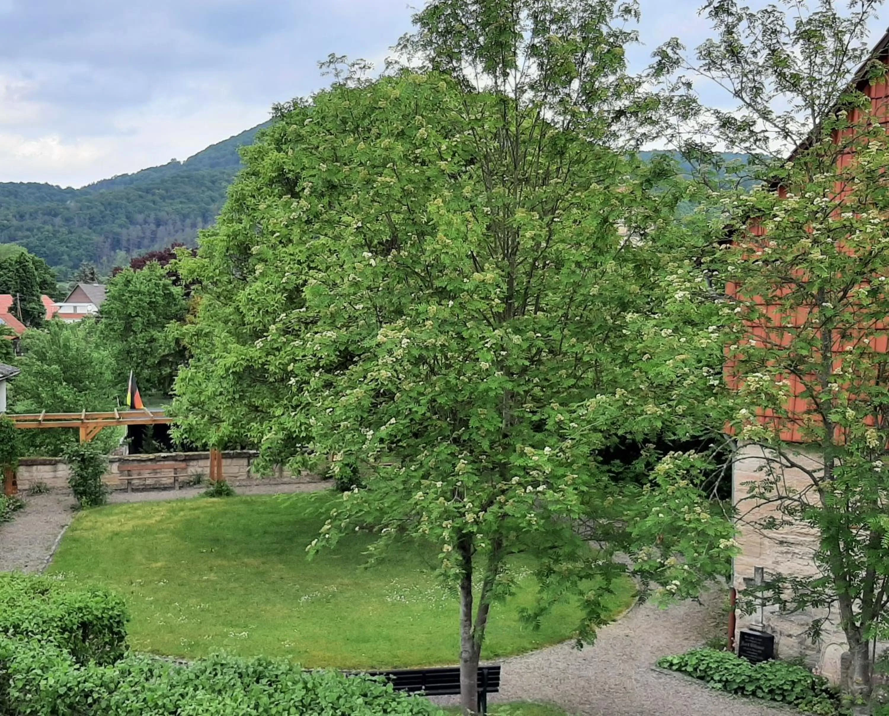 View (from property/room) in Landhotel Gemeindeschänke