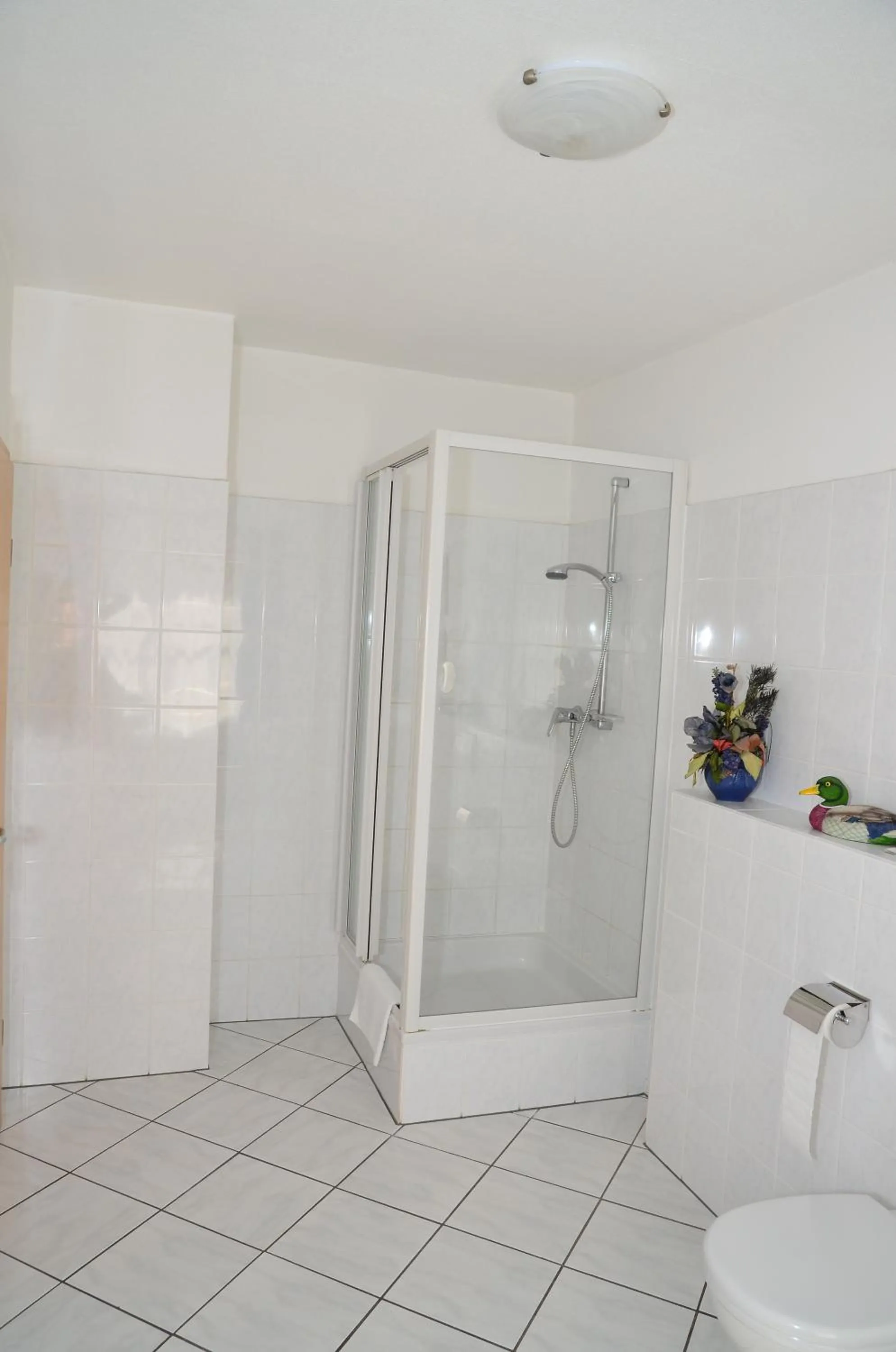 Shower in Landhotel Gemeindeschänke