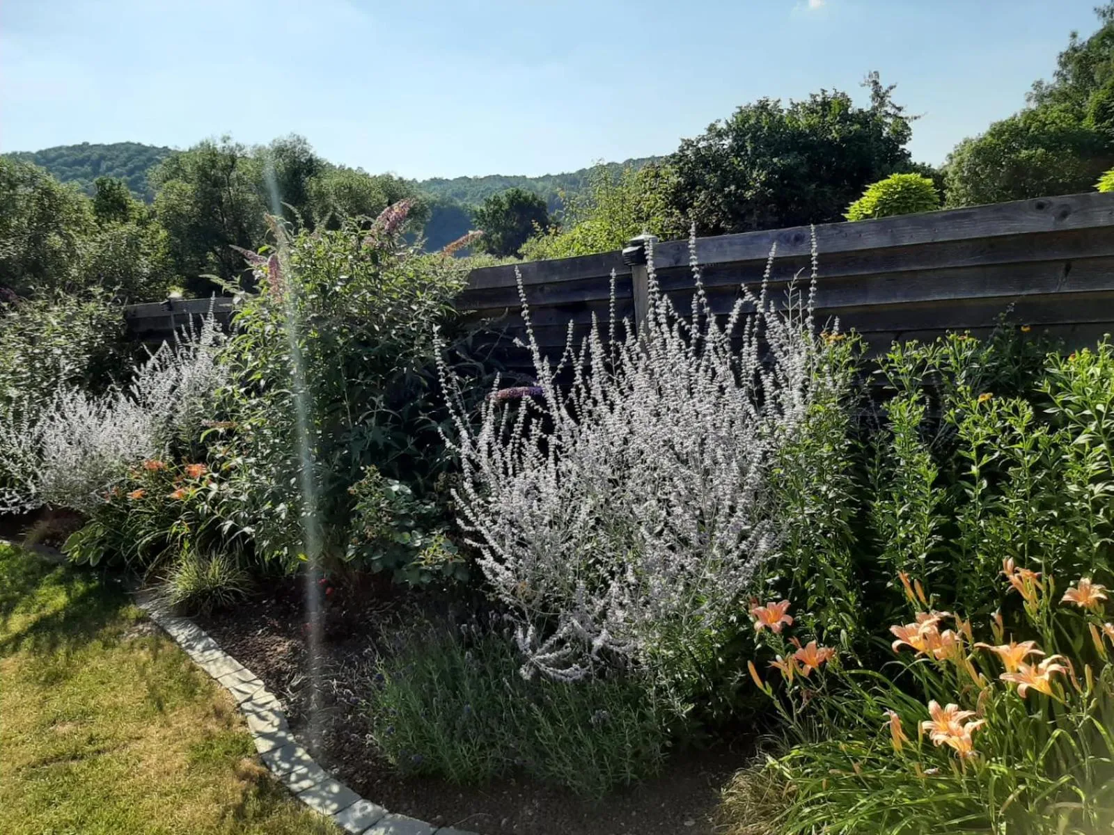 Garden in Landhotel Gemeindeschänke
