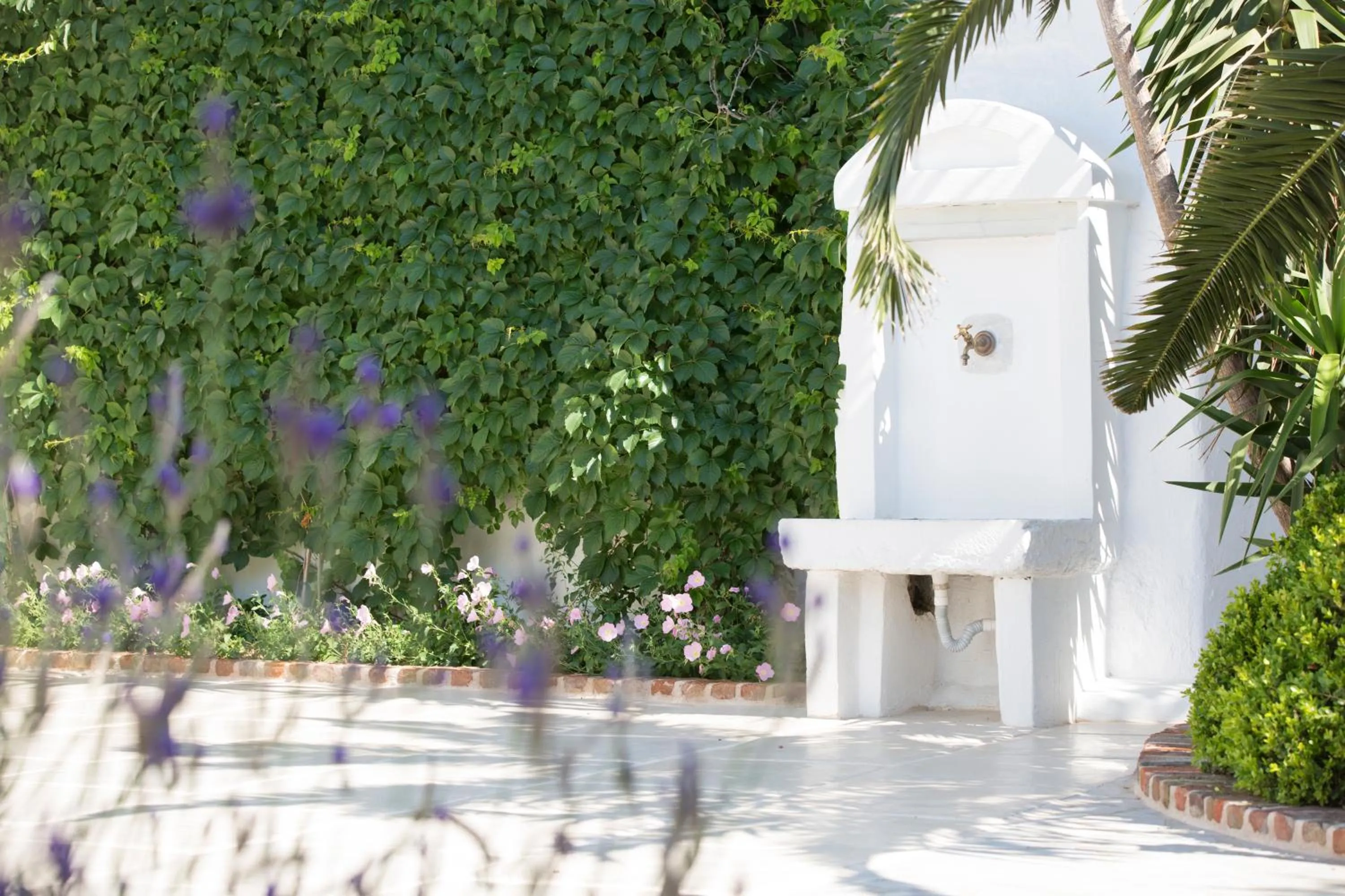 Garden in Kouneni Apartments