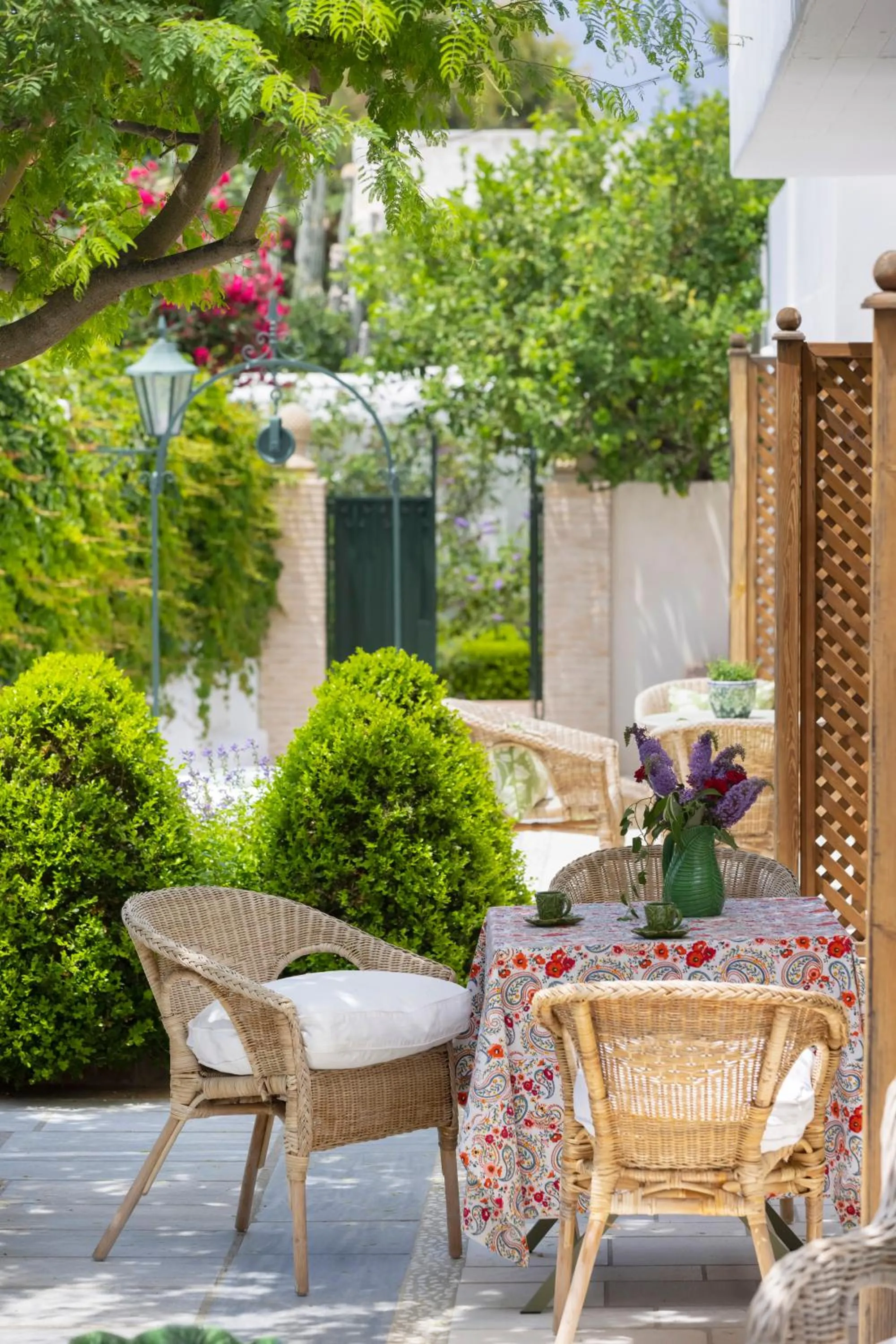 Garden in Kouneni Apartments